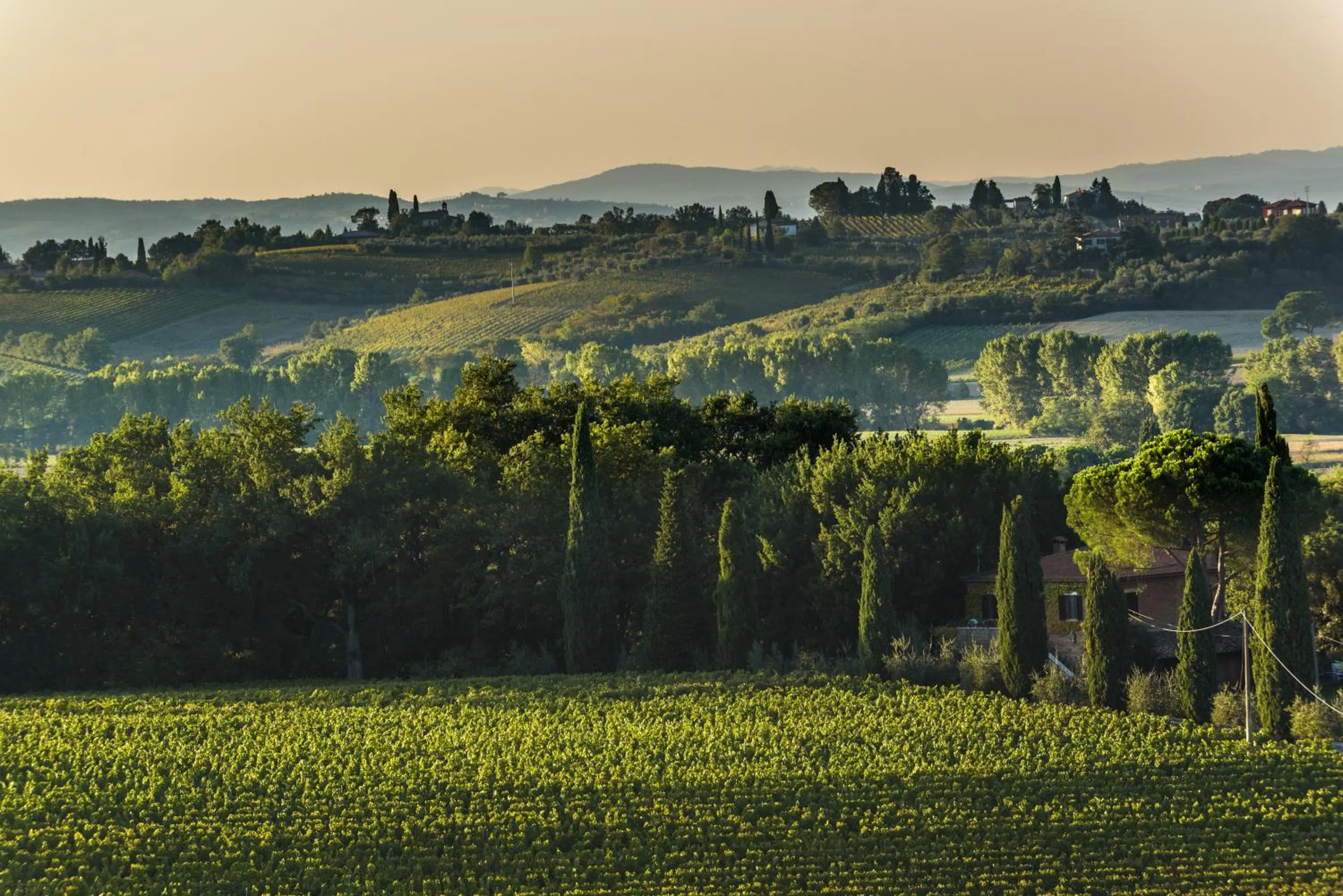View (from property/room) in La Casa Delle Querce