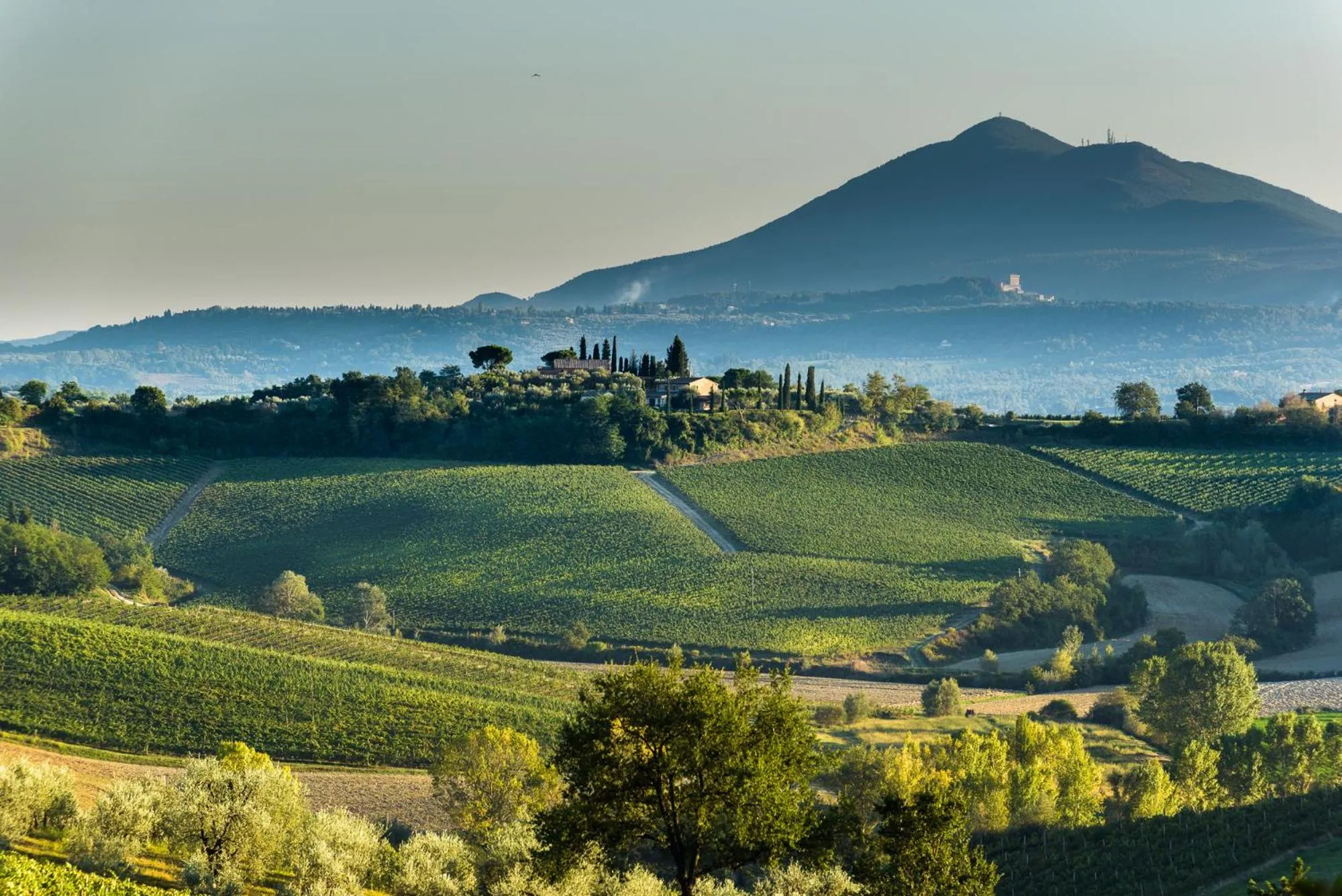 View (from property/room) in La Casa Delle Querce