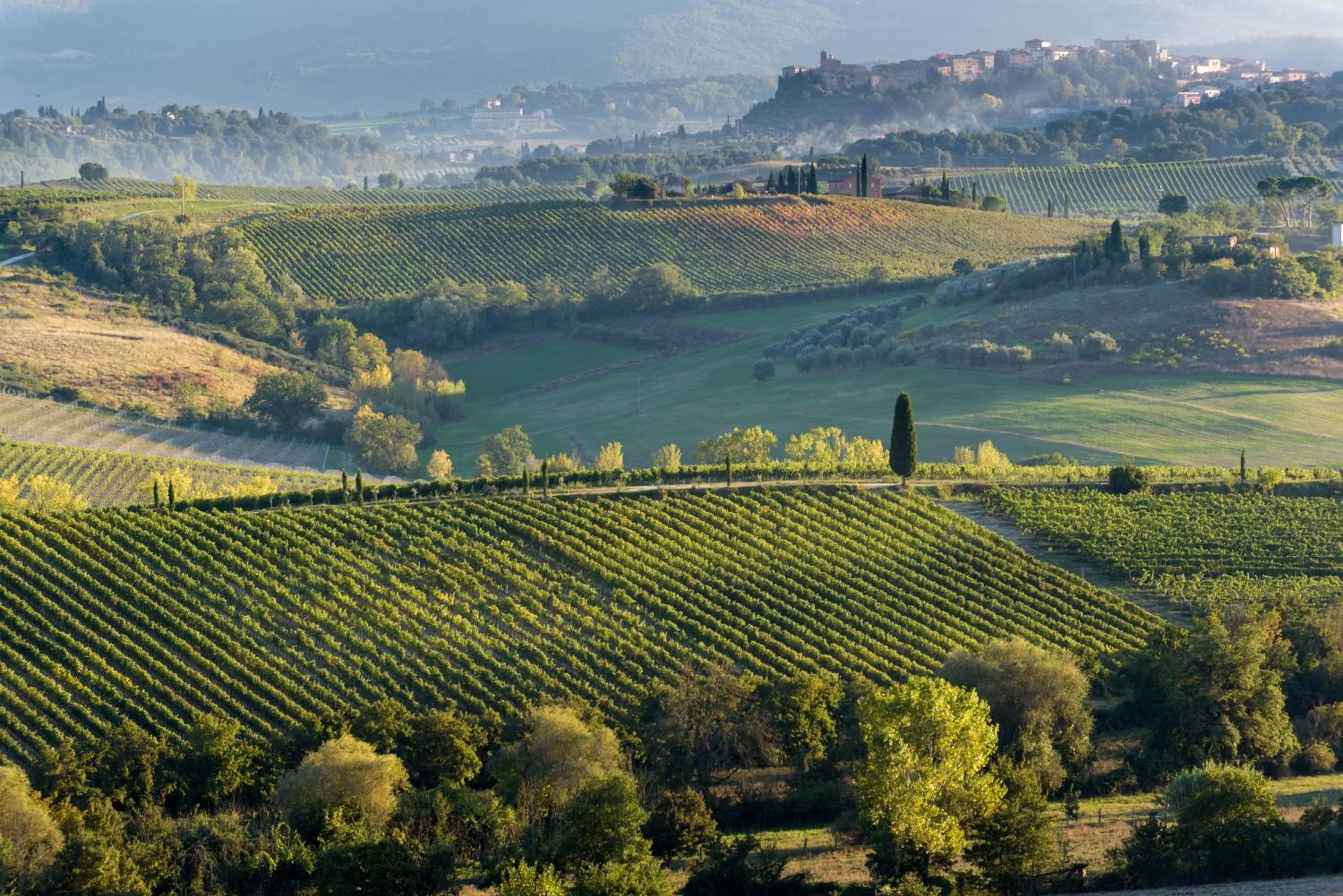 View (from property/room) in La Casa Delle Querce