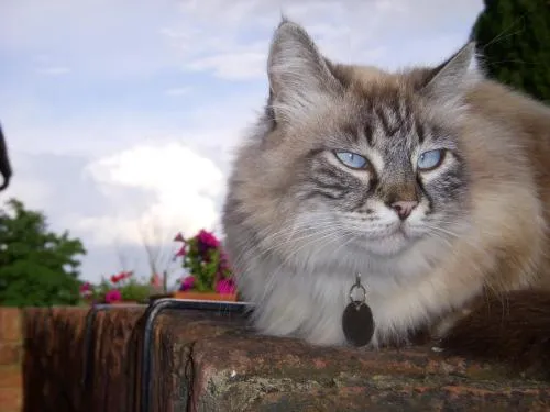 Other in La Casa Delle Querce