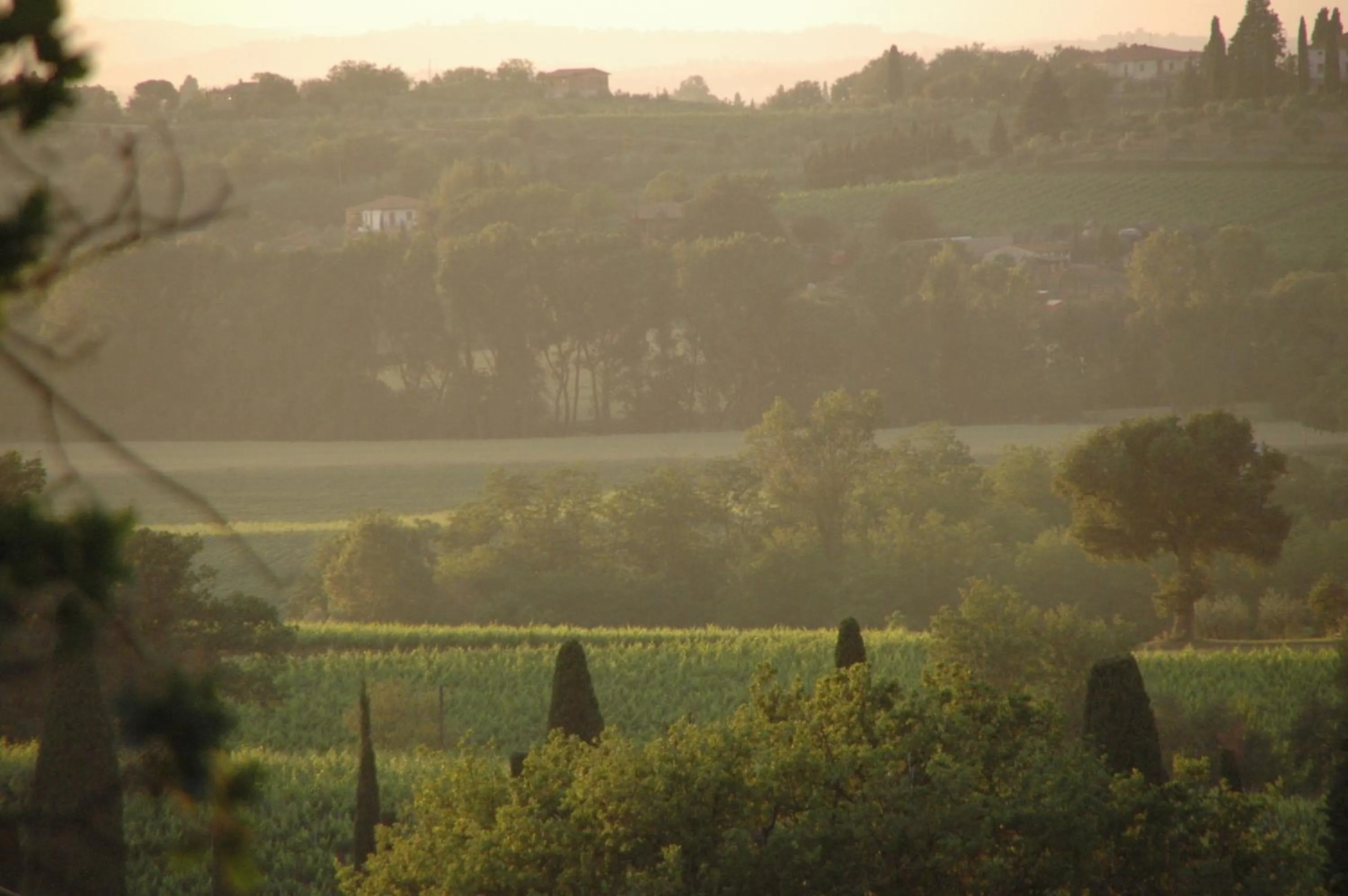 View (from property/room) in La Casa Delle Querce