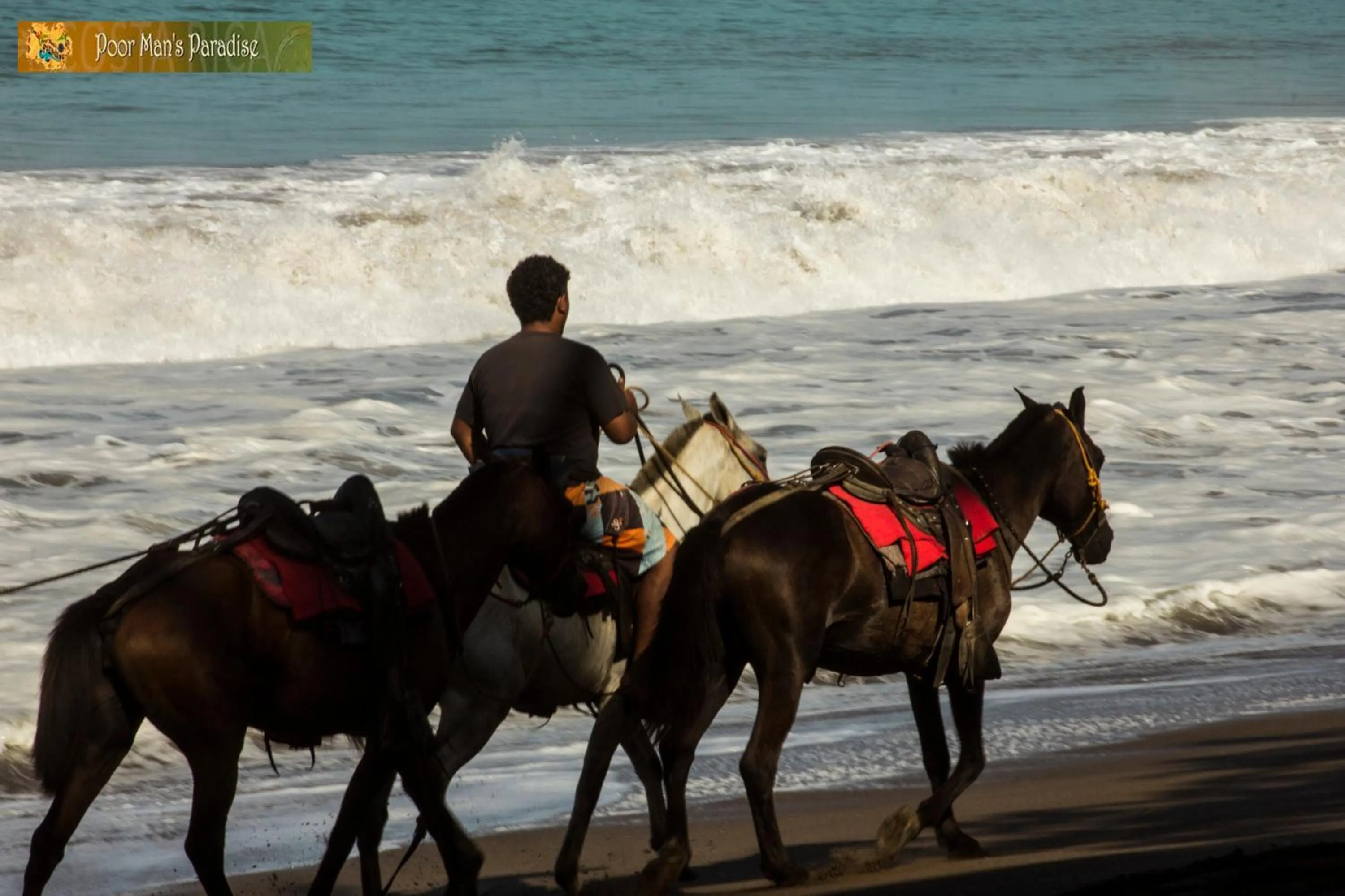 Horse-riding in Poor Man's Paradise Lodge