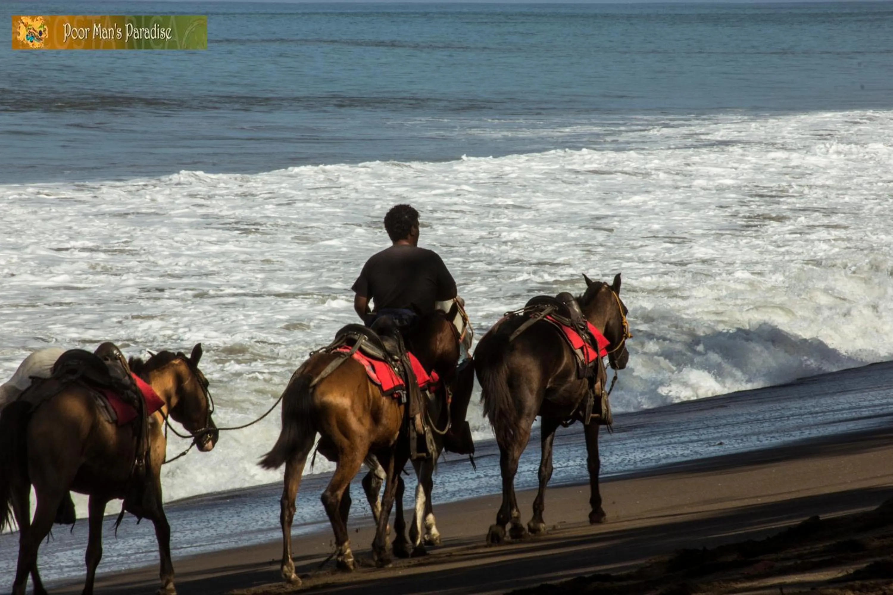 Horse-riding in Poor Man's Paradise Lodge