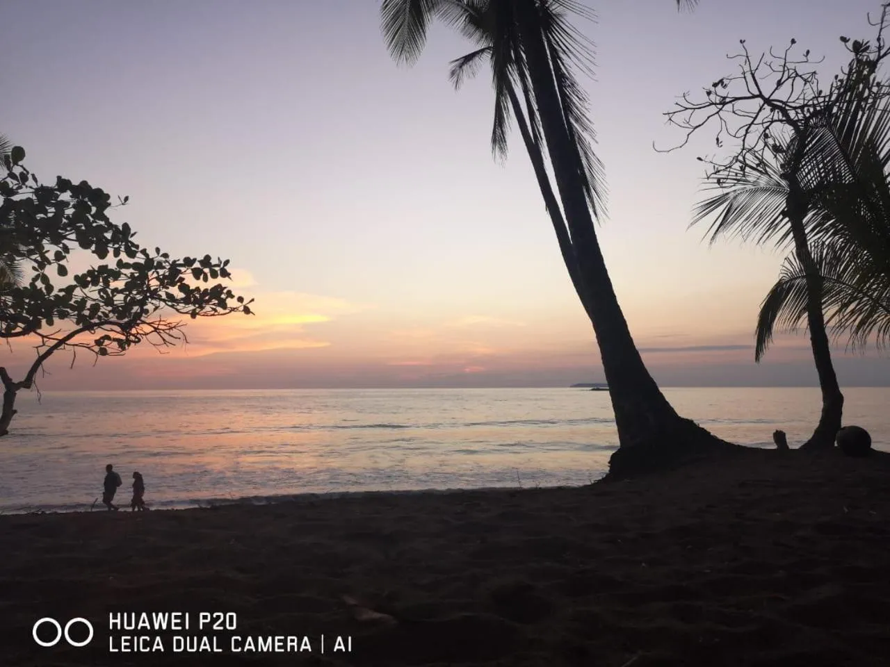 Natural landscape in Poor Man's Paradise Lodge