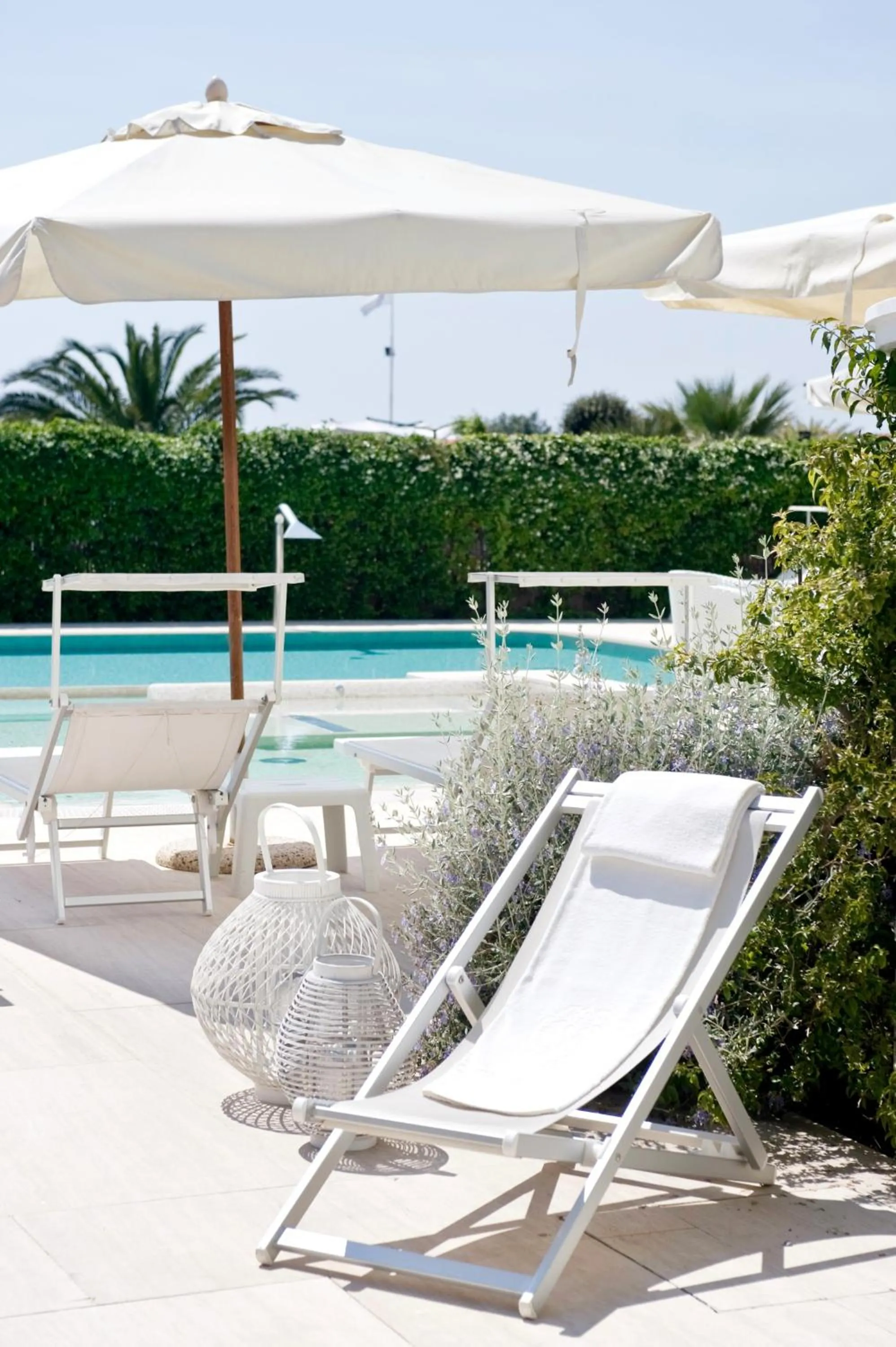 Swimming pool in Hotel Il Negresco