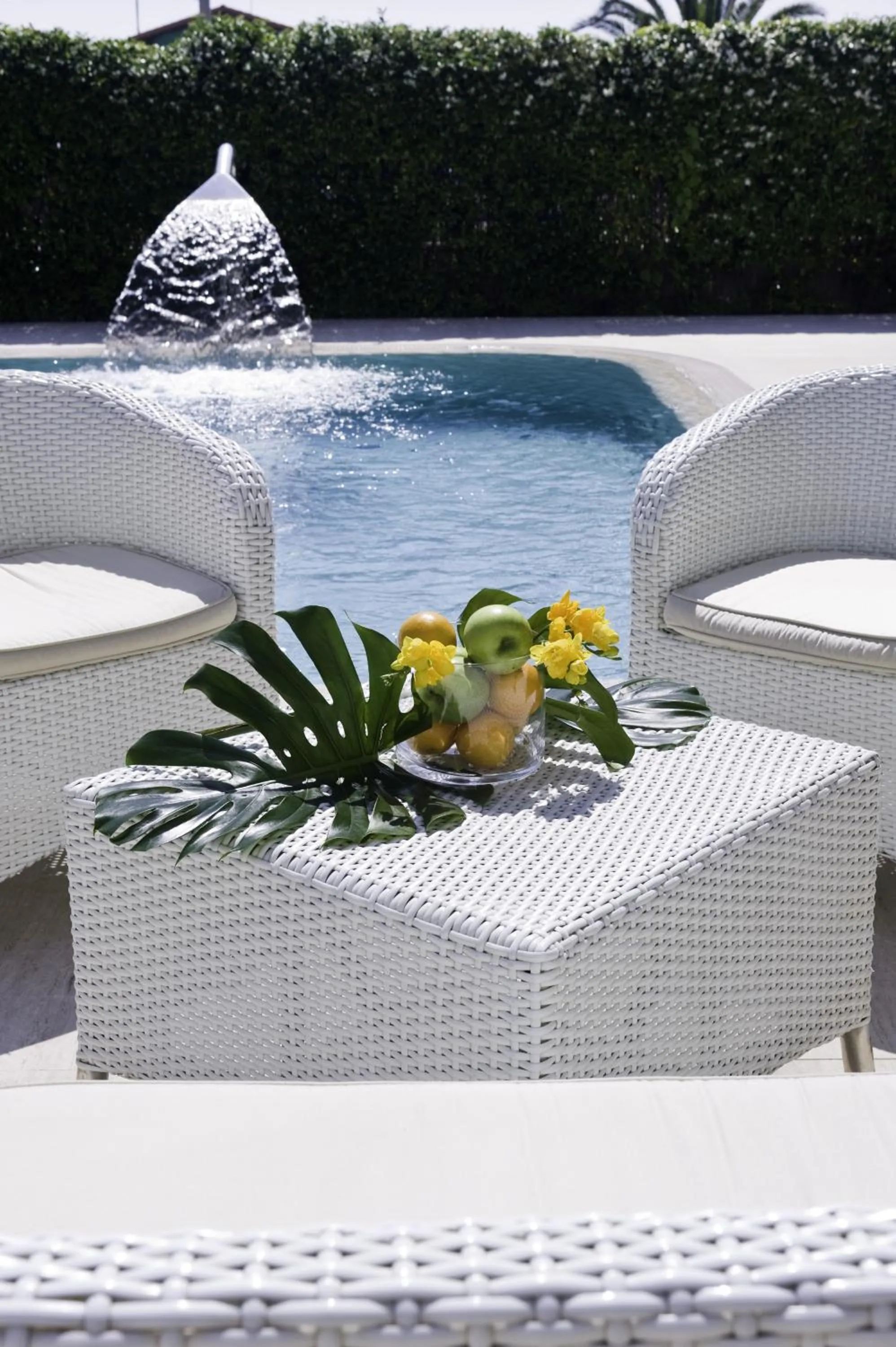 Swimming pool in Hotel Il Negresco