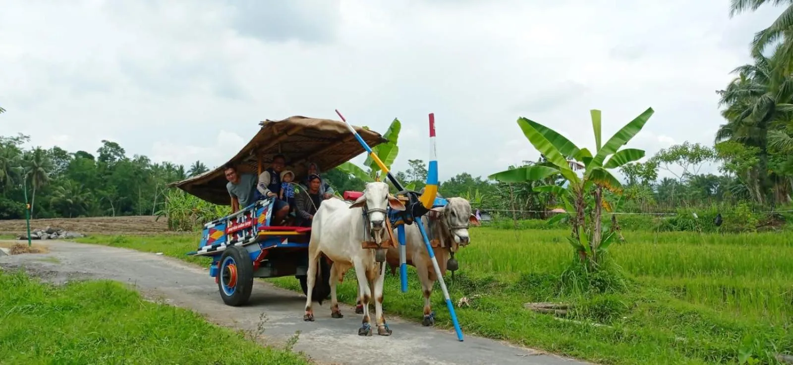 Entertainment in Angler Homestay & Joglo
