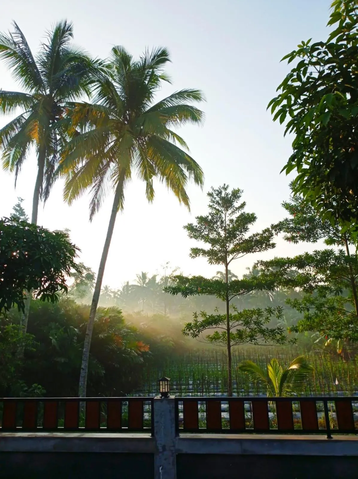 Angler Homestay & Joglo