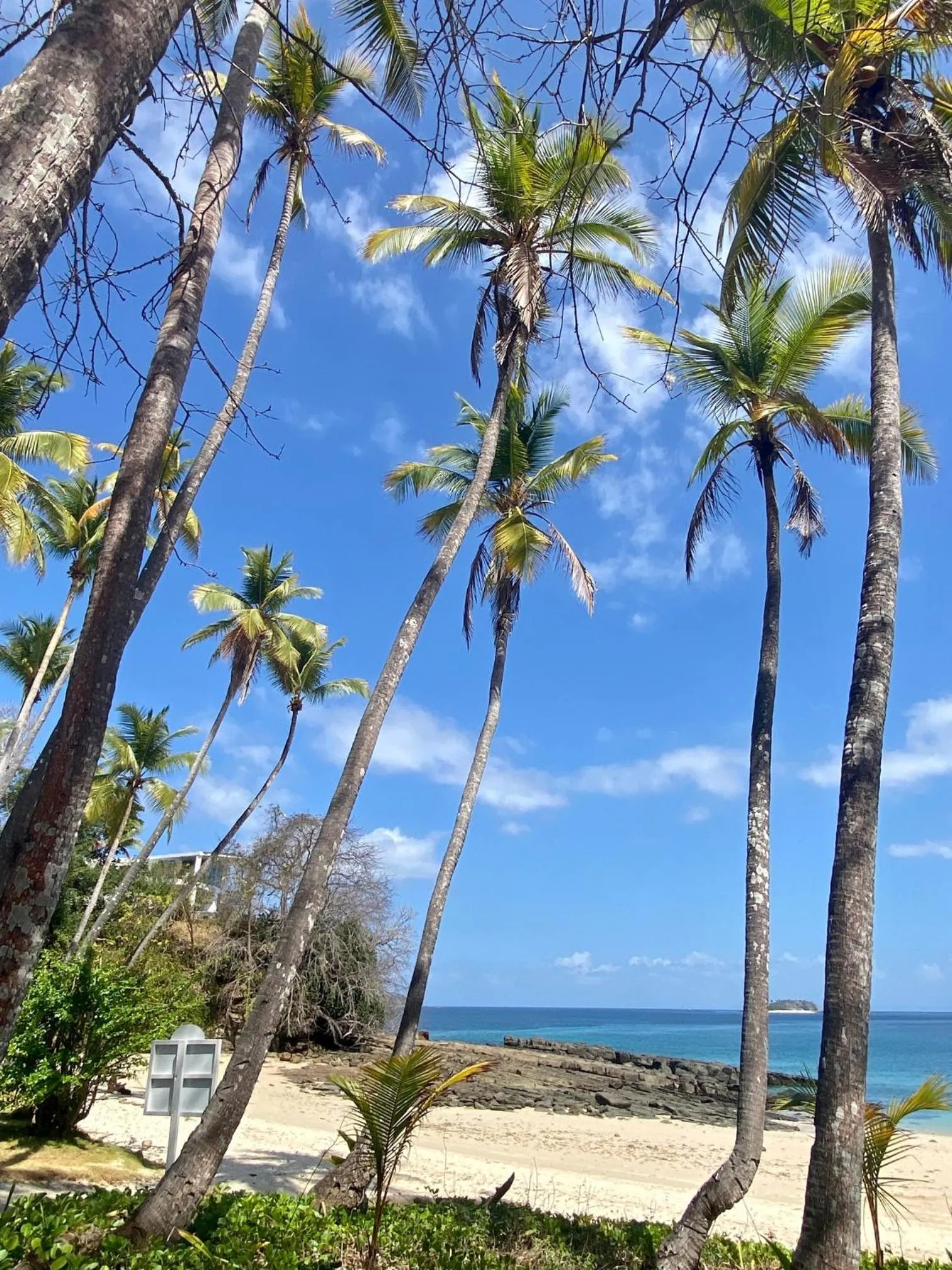 Casa del Sol Bed and Breakfast