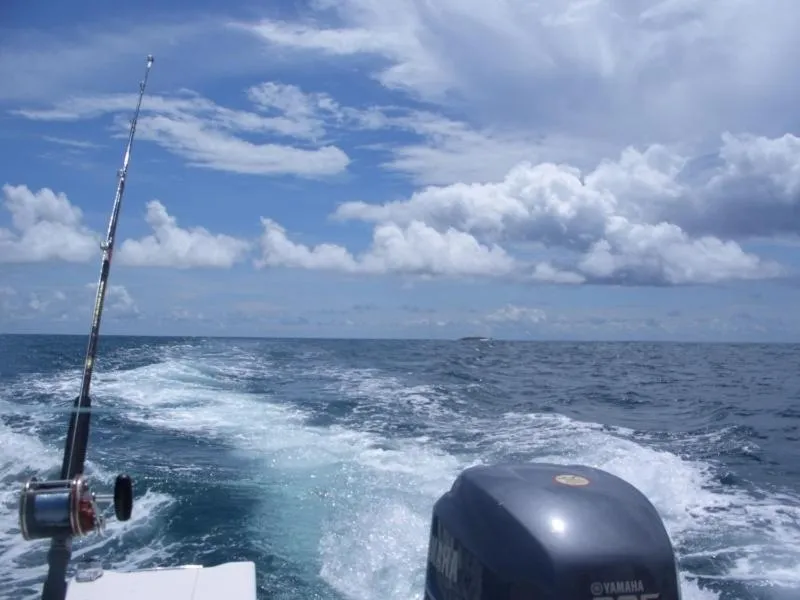 Fishing in Casa del Sol Bed and Breakfast