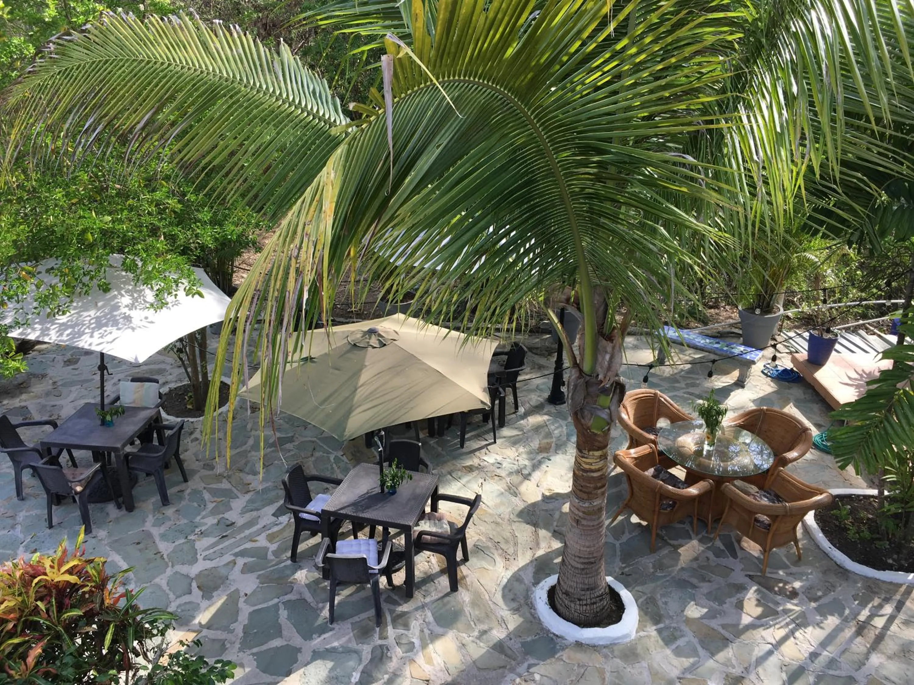 Garden in Casa del Sol Bed and Breakfast