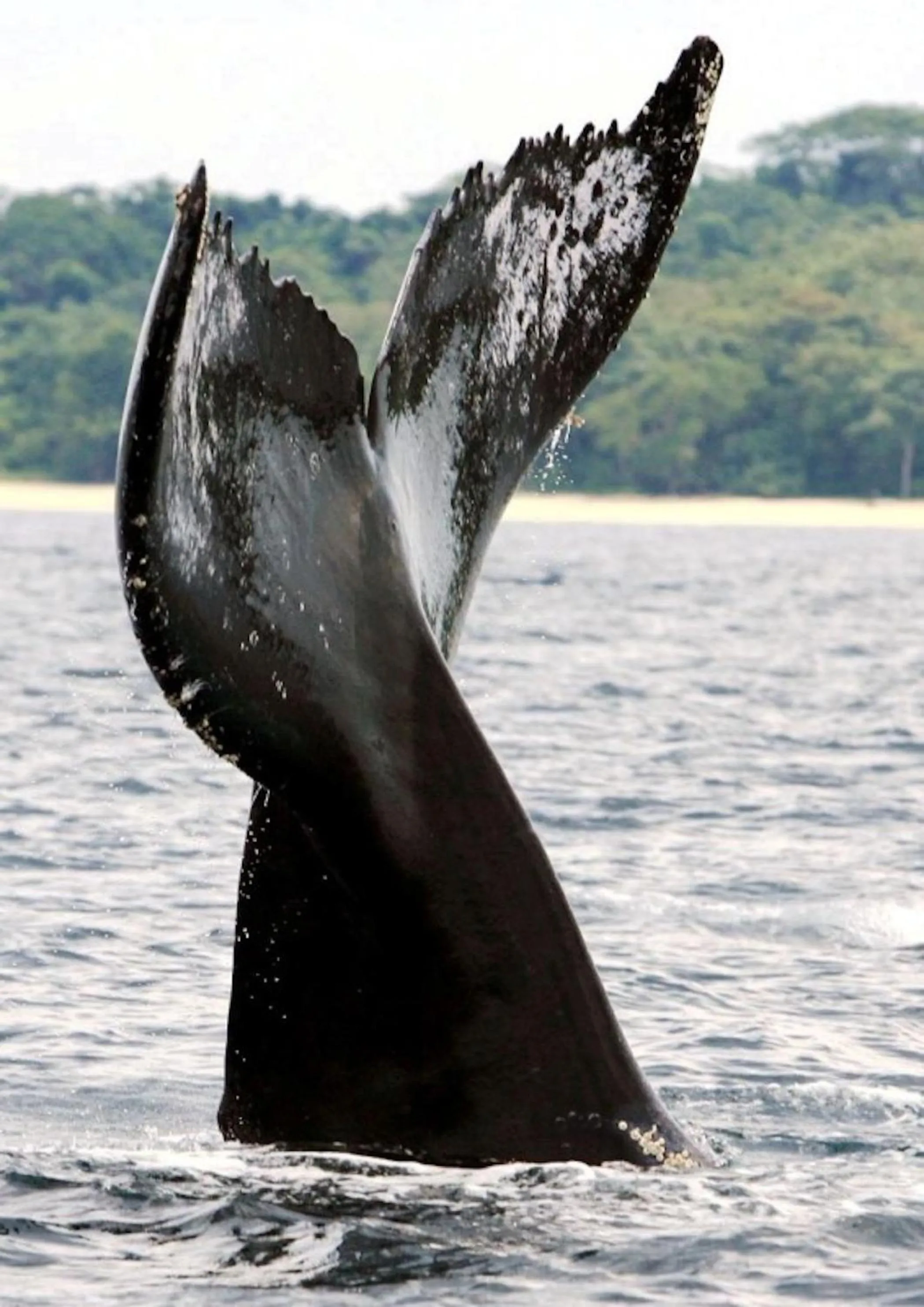 Sea view in Casa del Sol Bed and Breakfast