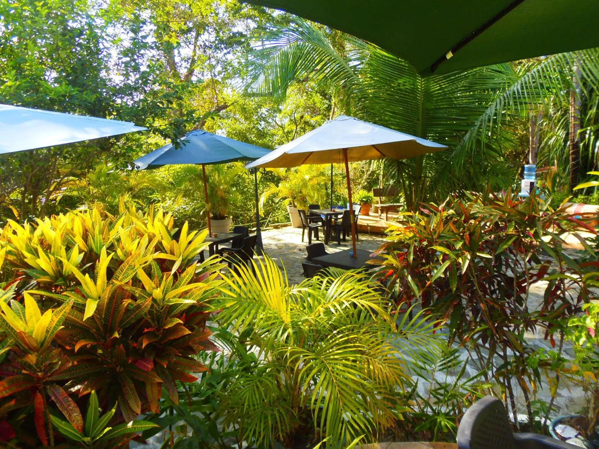 Garden in Casa del Sol Bed and Breakfast