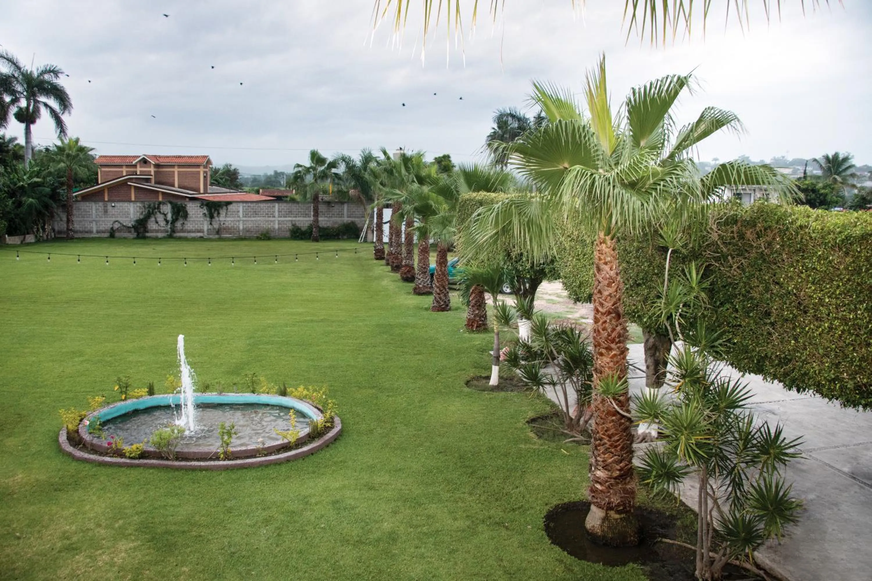 Garden view in Hotel San Carlos Yautepec