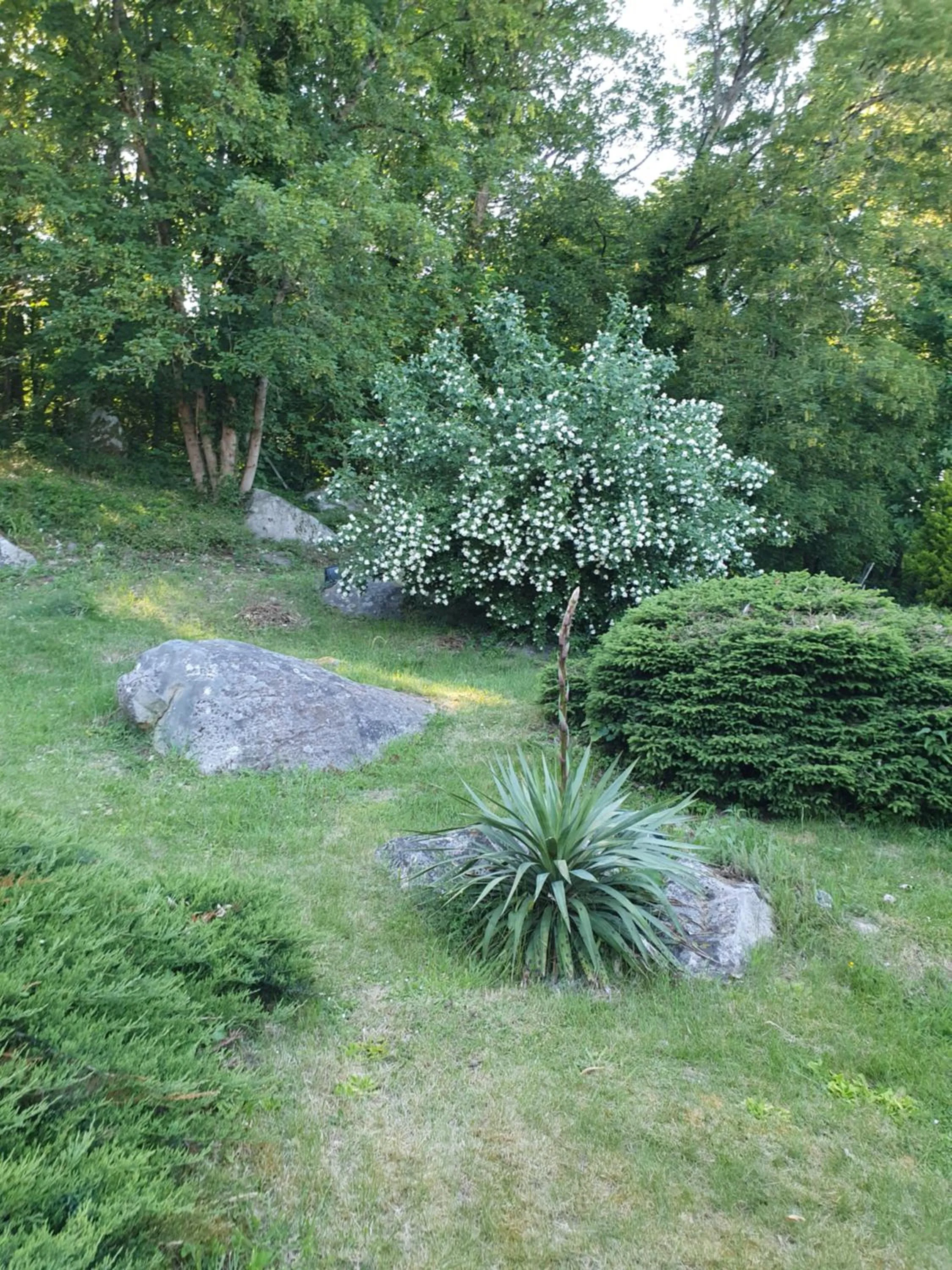 Le Jardin des Roches