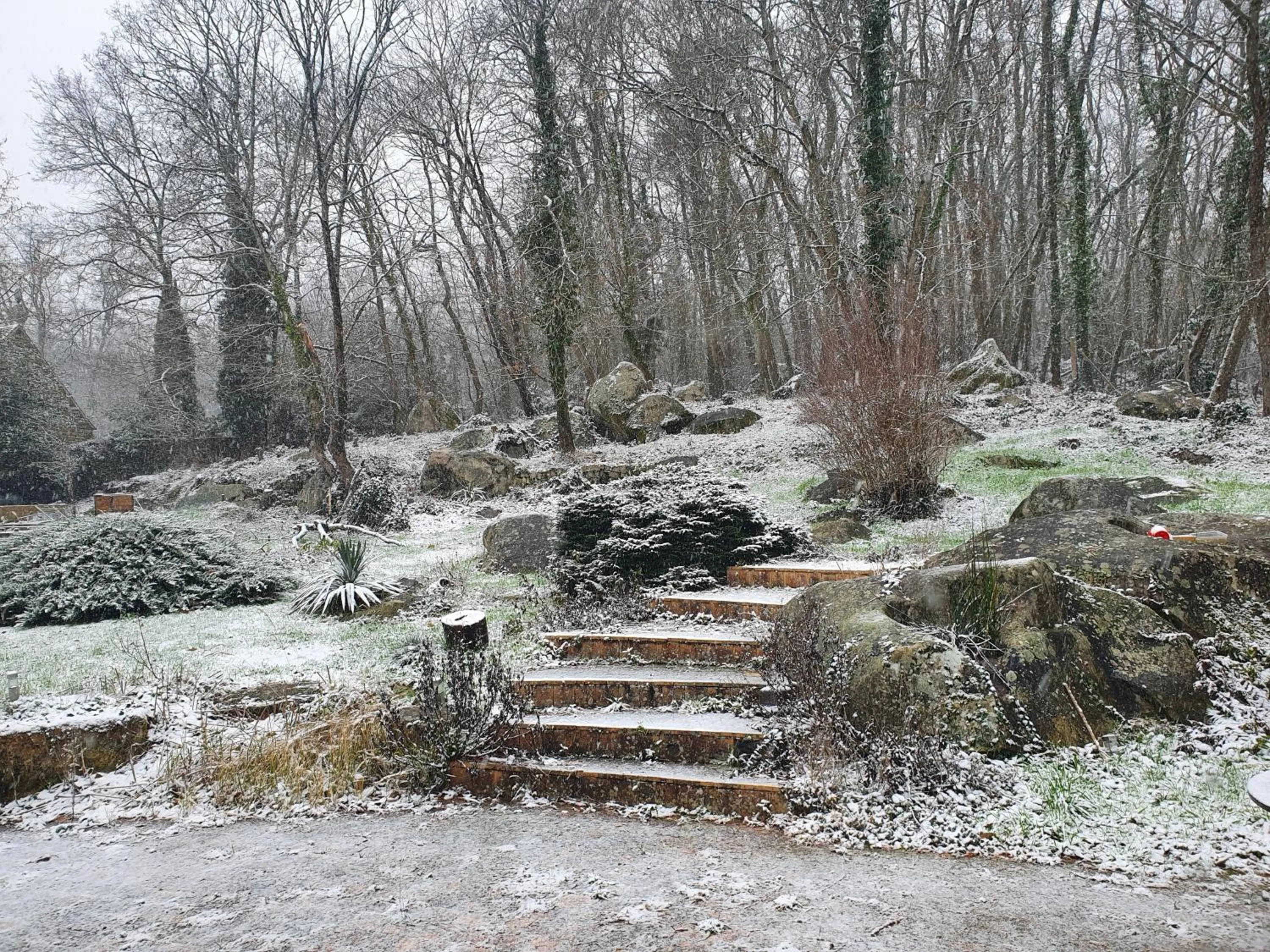 Garden in Le Jardin des Roches