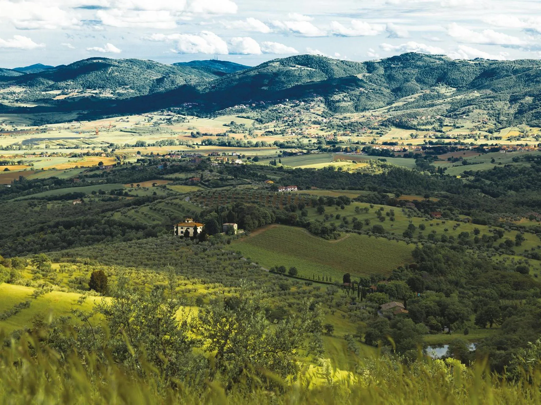 Natural landscape in Relais Villa Monte Solare Wellness & SPA