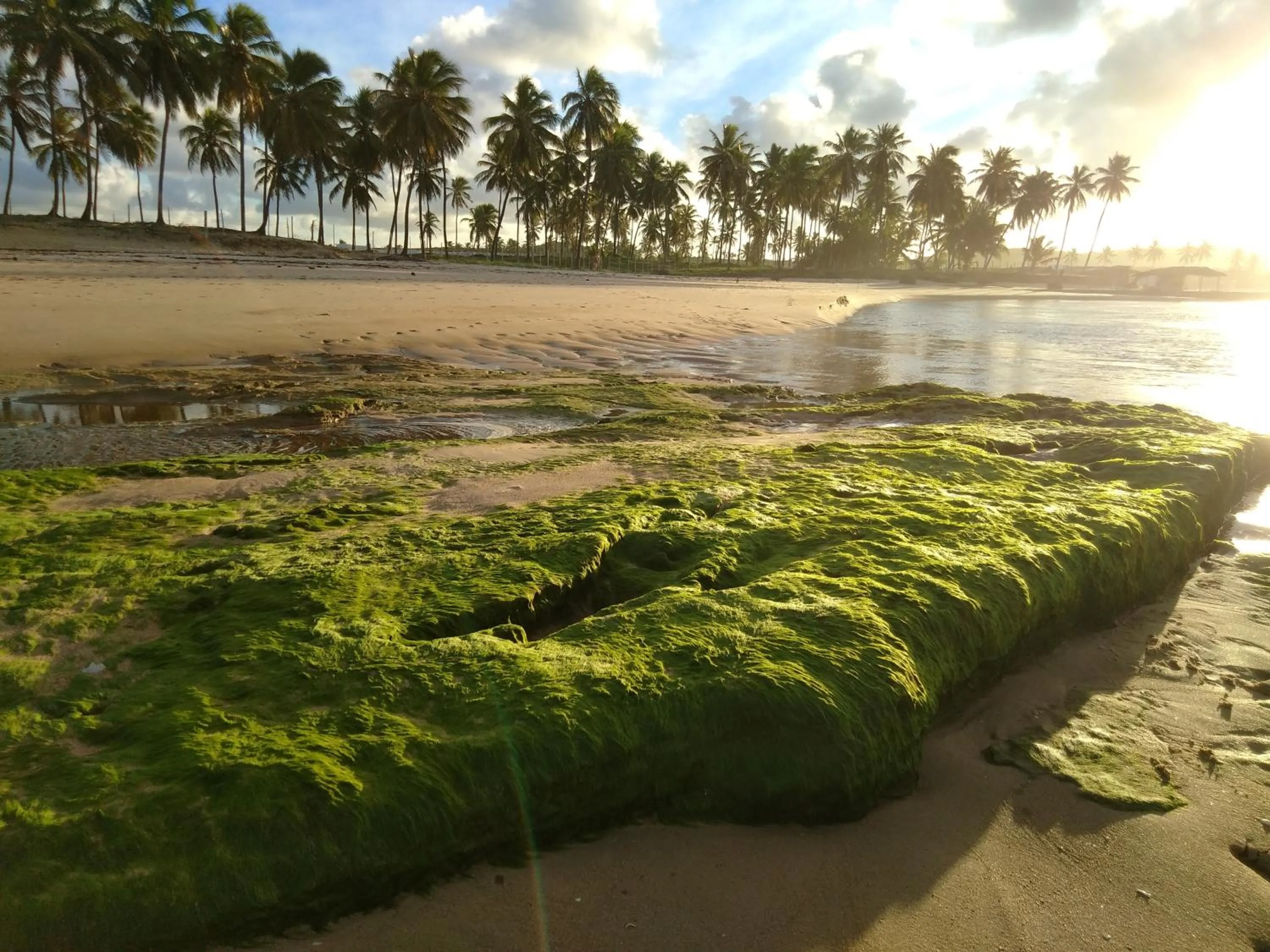 Natural landscape in Pousada Recanto Lagoa Azul