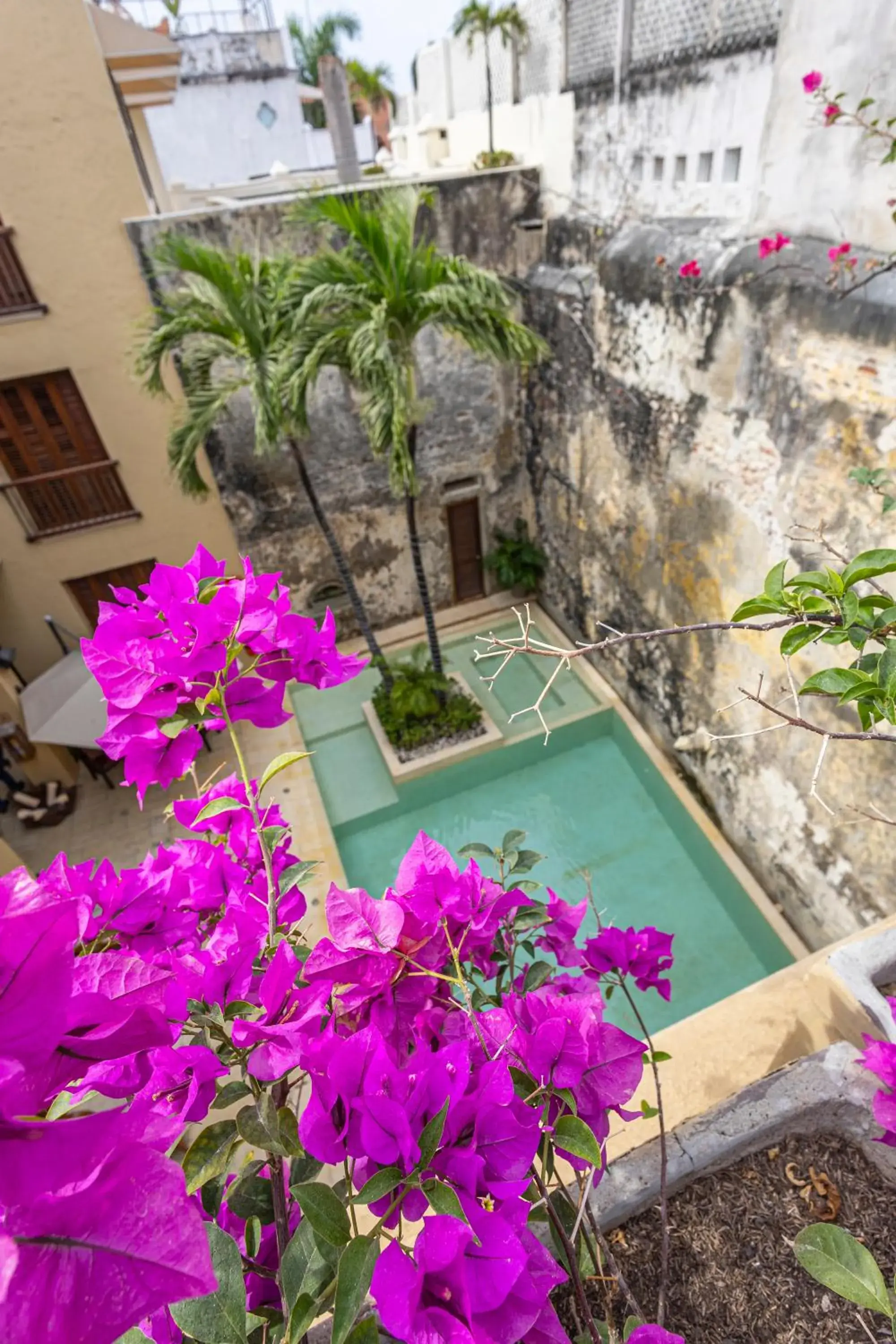 Garden view in Ananda Hotel Boutique Garden view in Ananda Hotel Boutique