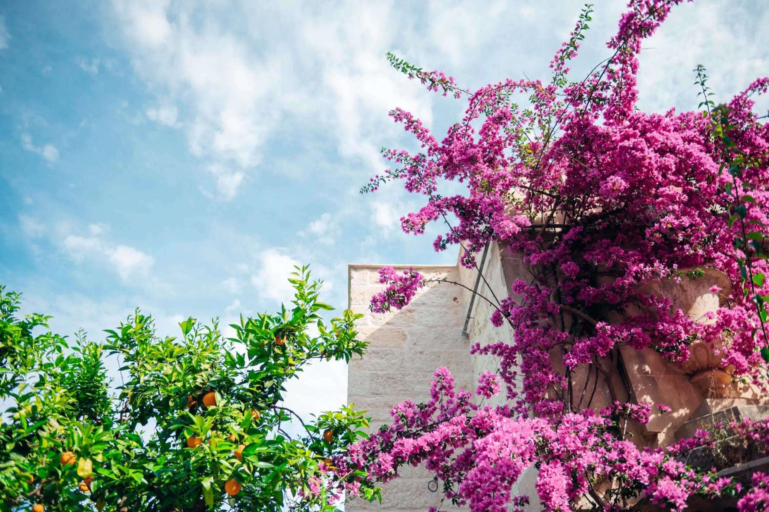 Tenuta Tresca Suites - Dimora Storica