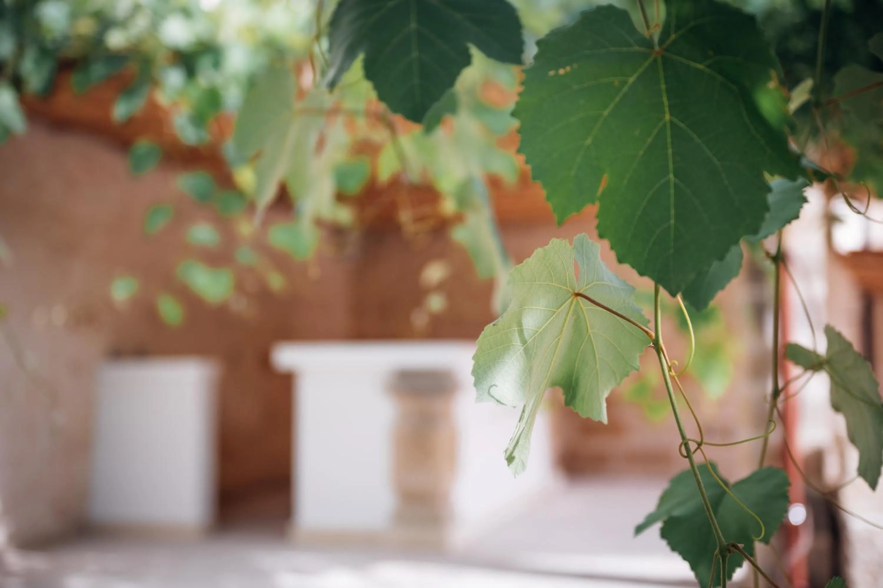 Garden in Tenuta Tresca Suites - Dimora Storica