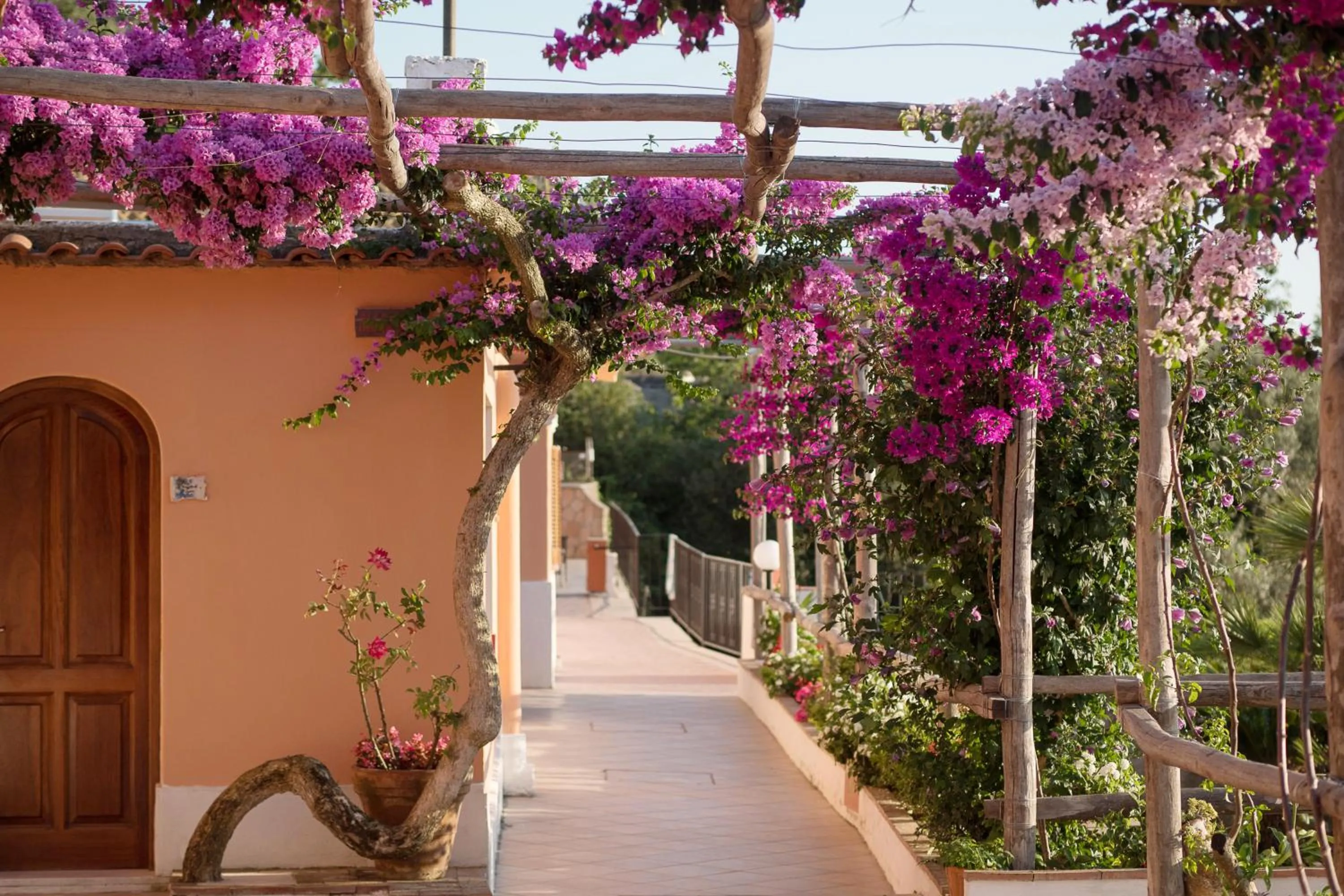 Garden in Hotel Il Girasole