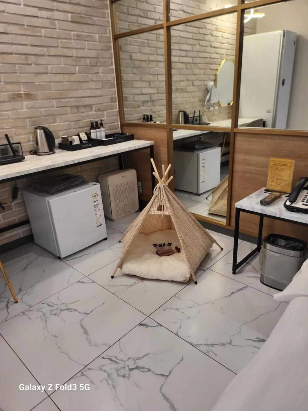 Pets in Hotel 24st Prestige