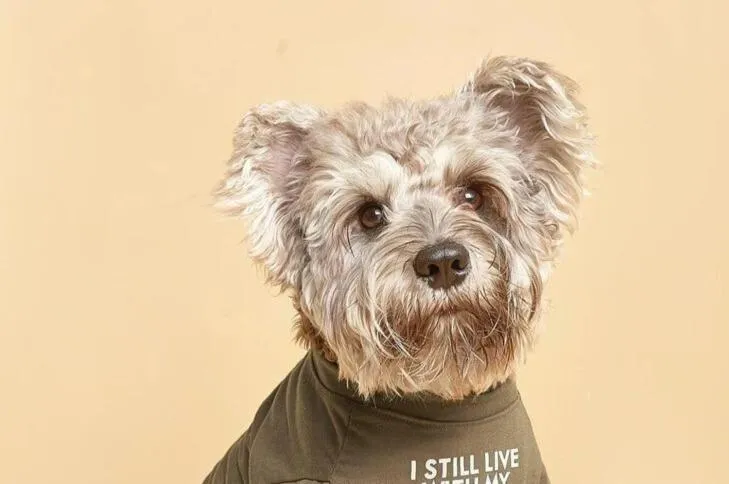 Photo of the whole room in Hotel 24st Prestige