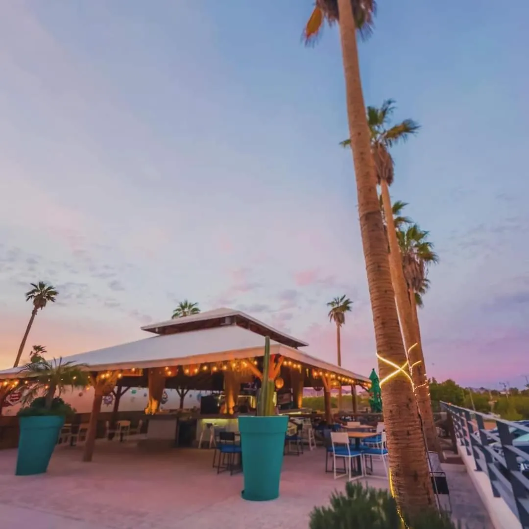 Restaurant/places to eat in Sawari Hotel