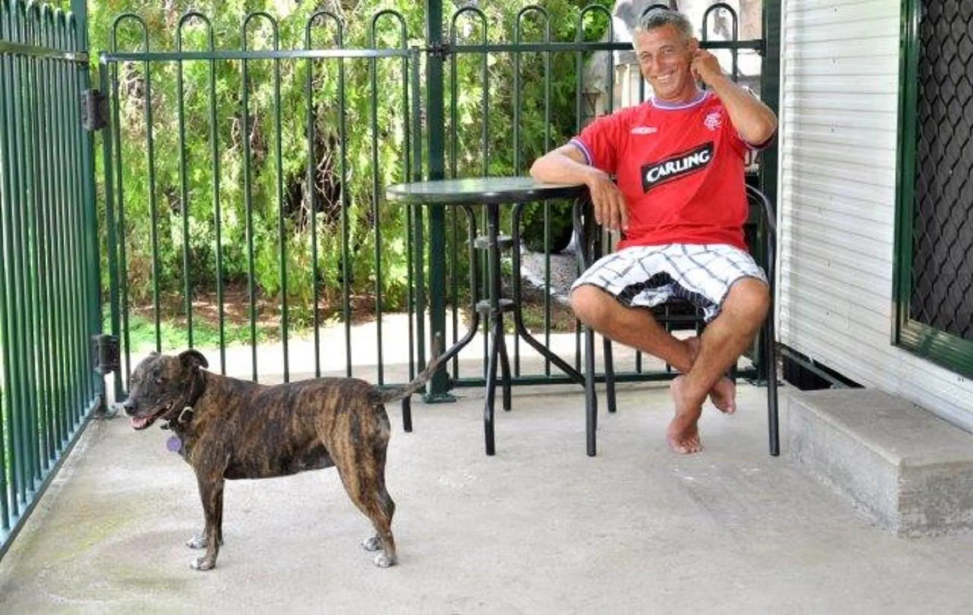 Balcony/Terrace in Coral Coast Tourist Park