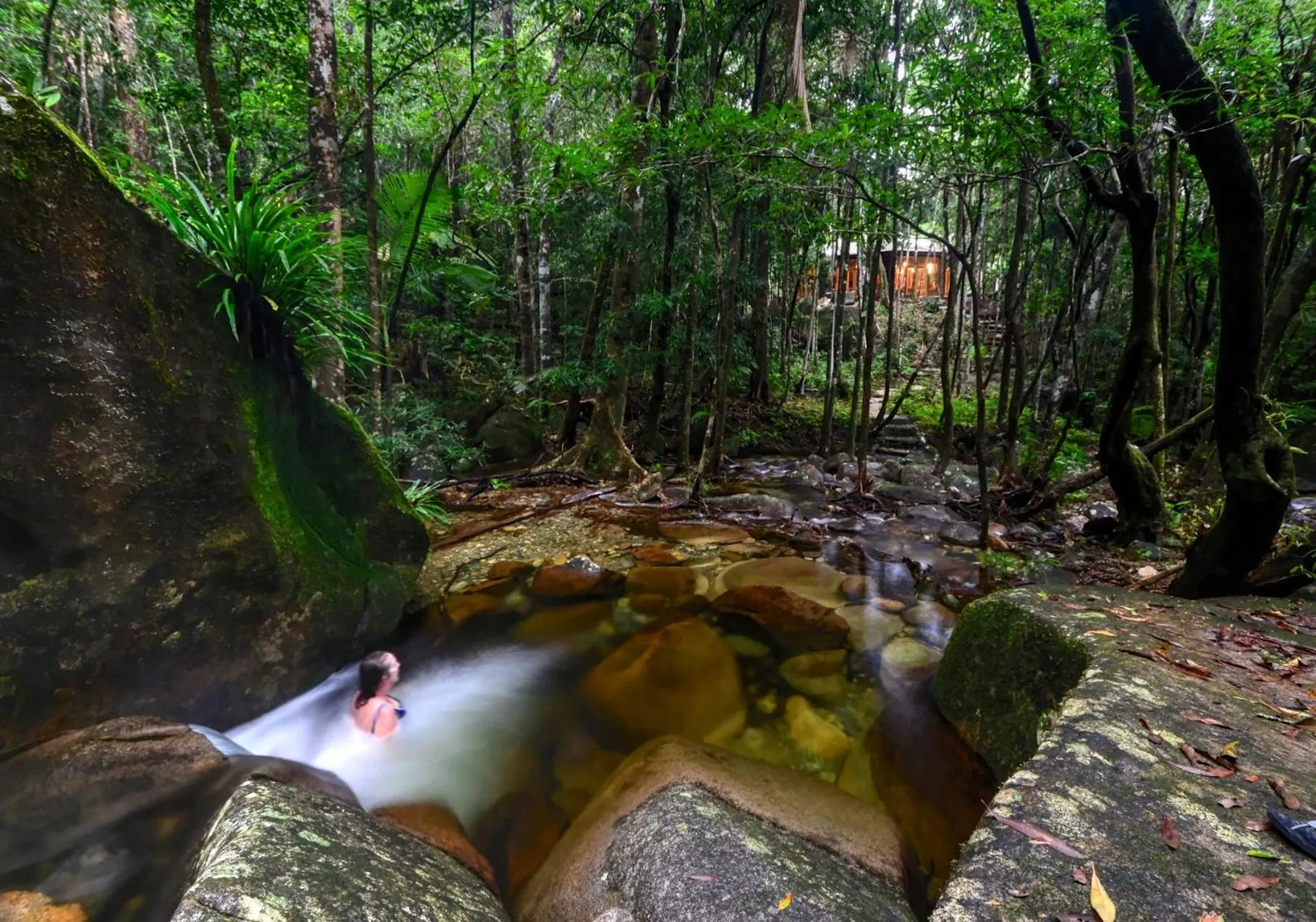 Daintree Cascades