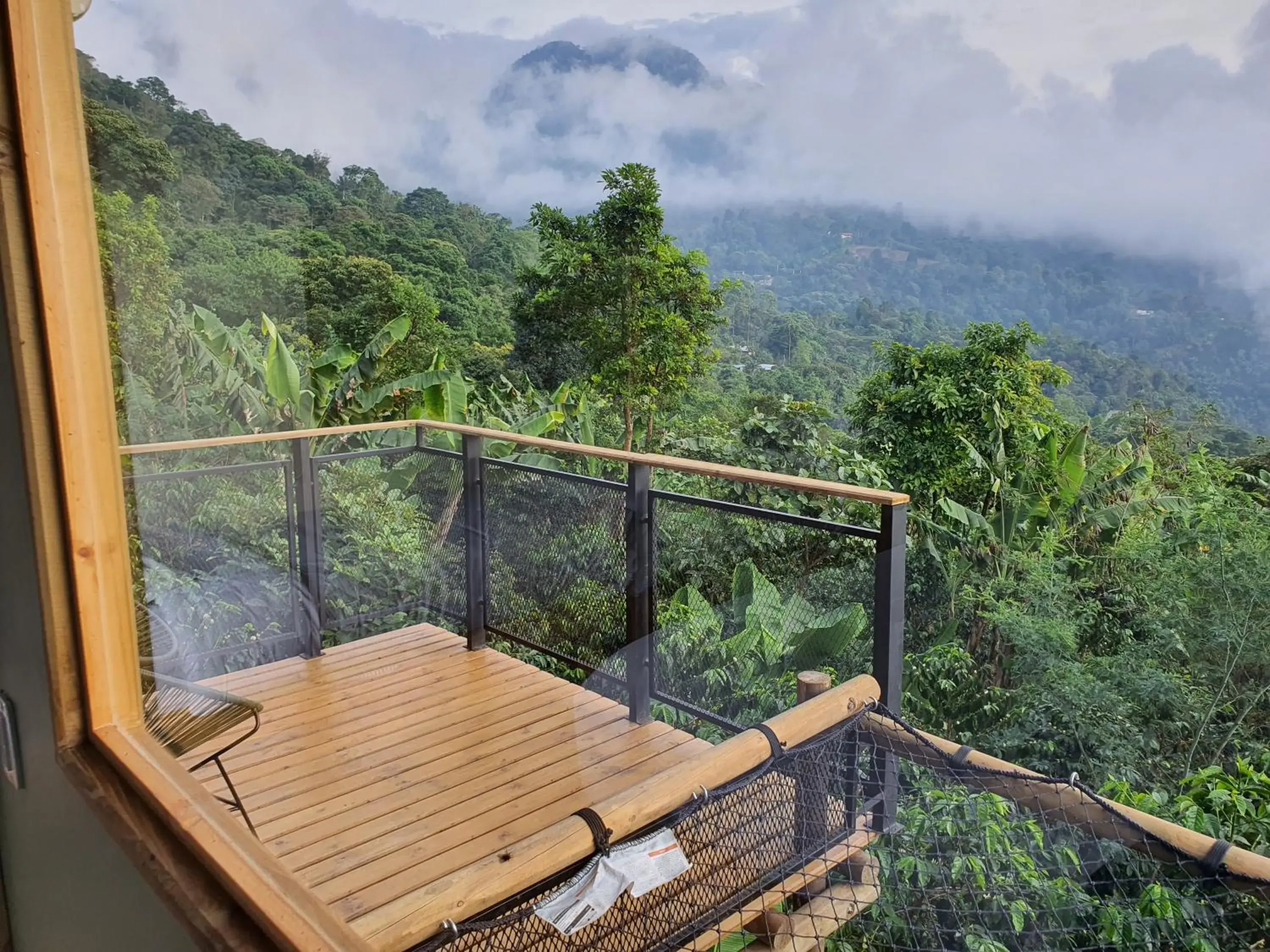 Mountain view in Hotel La Palma y El Tucán - Café y Naturaleza Mountain view in Hotel La Palma y El Tucán - Café y Naturaleza