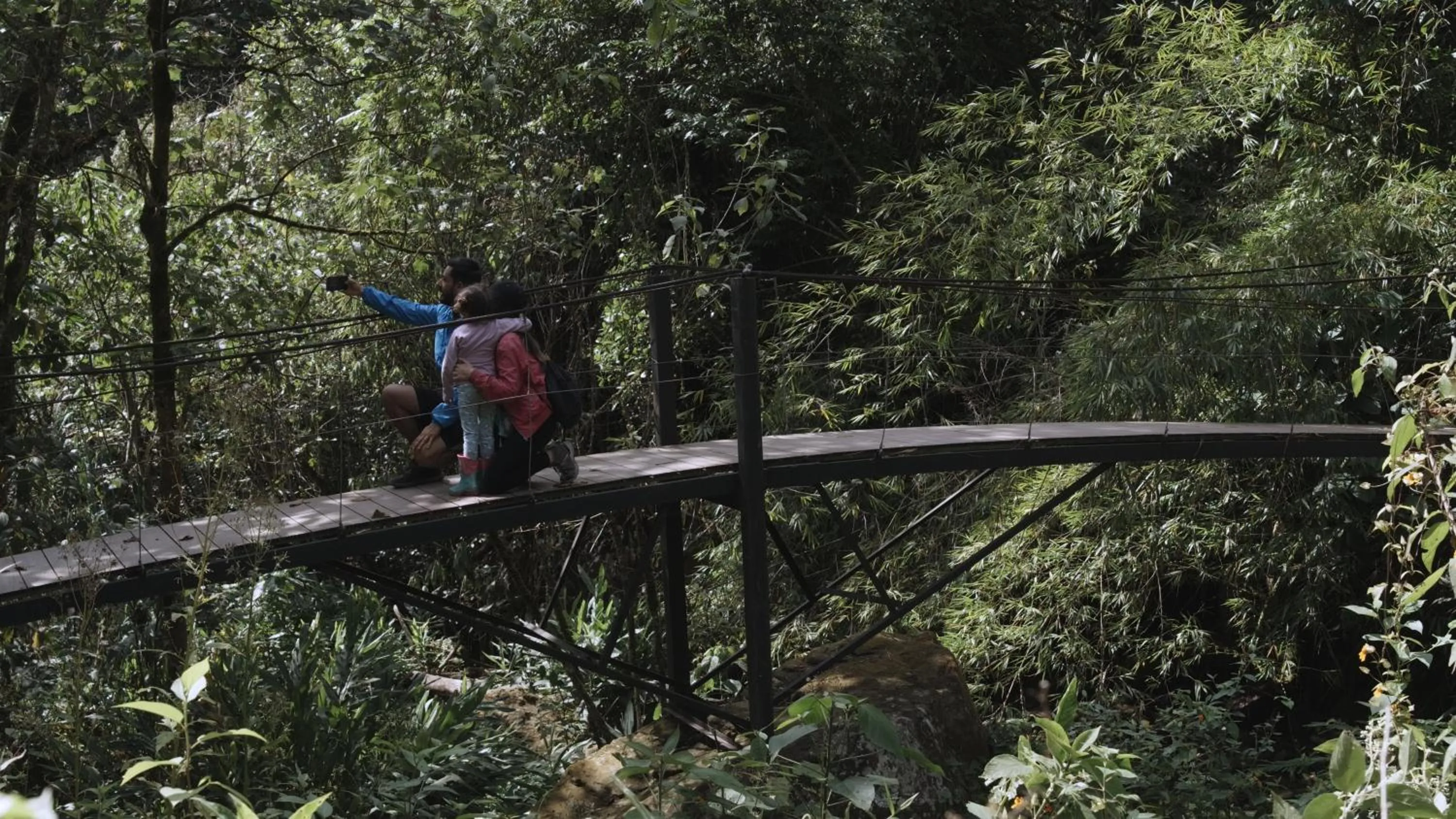 Activities in Hotel La Palma y El Tucán - Café y Naturaleza