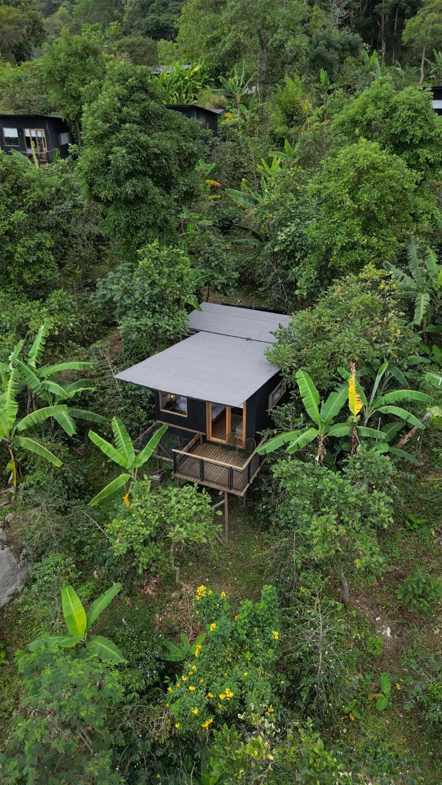 Bird's eye view in Hotel La Palma y El Tucán - Café y Naturaleza