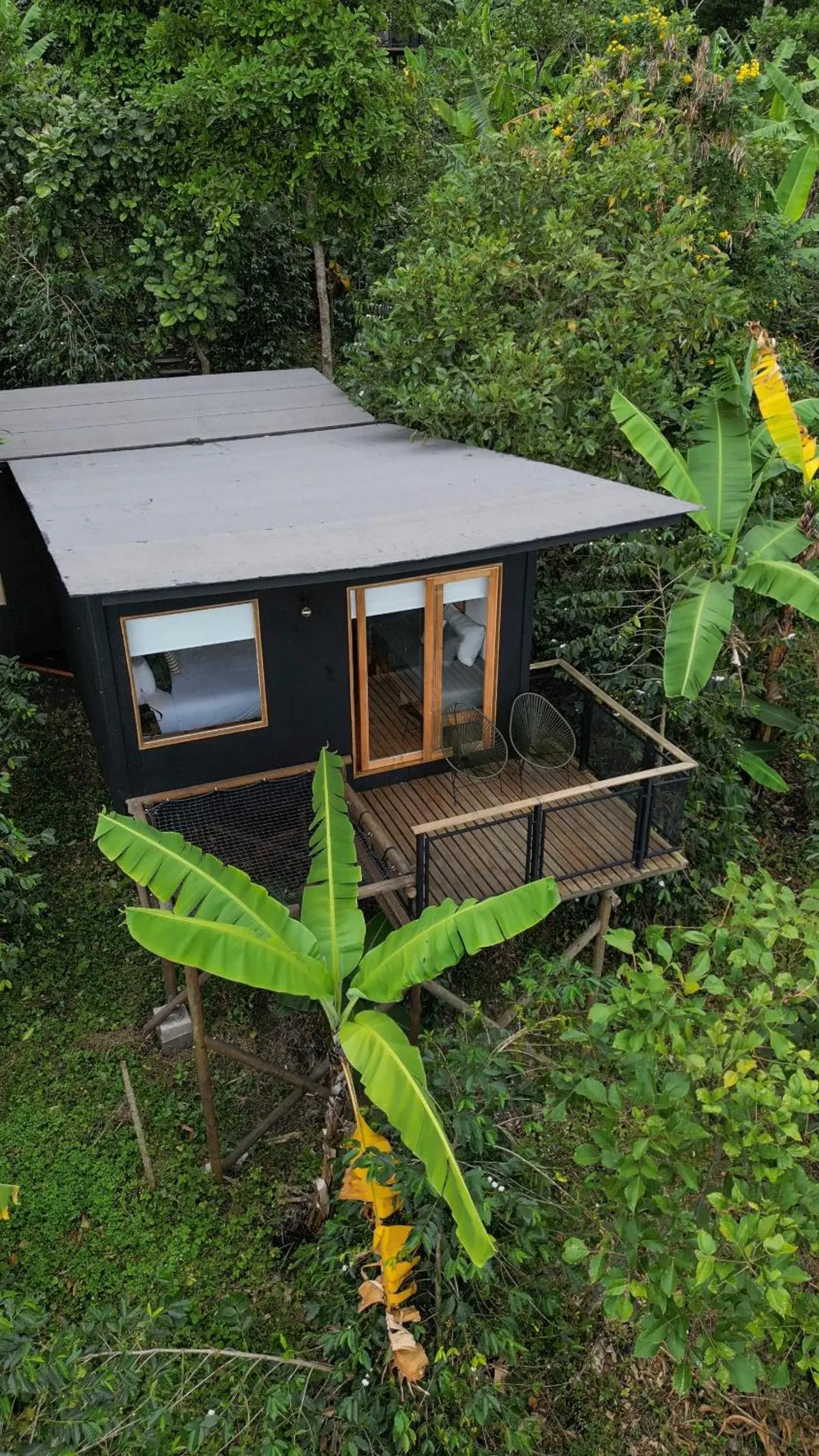 Standard Bungalow in Hotel La Palma y El Tucán - Café y Naturaleza Standard Bungalow in Hotel La Palma y El Tucán - Café y Naturaleza
