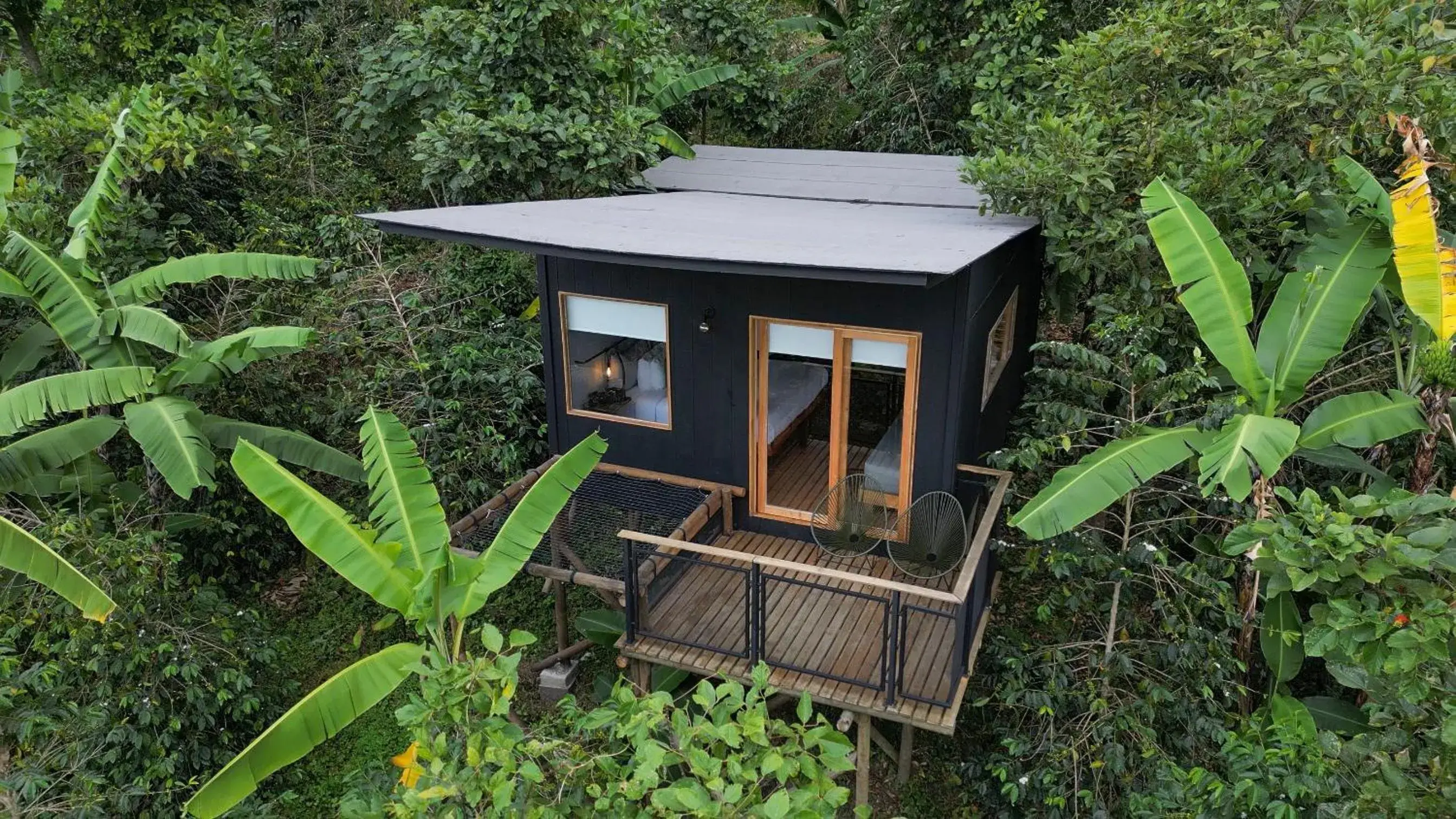 Bird's eye view in Hotel La Palma y El Tucán - Café y Naturaleza Bird's eye view in Hotel La Palma y El Tucán - Café y Naturaleza