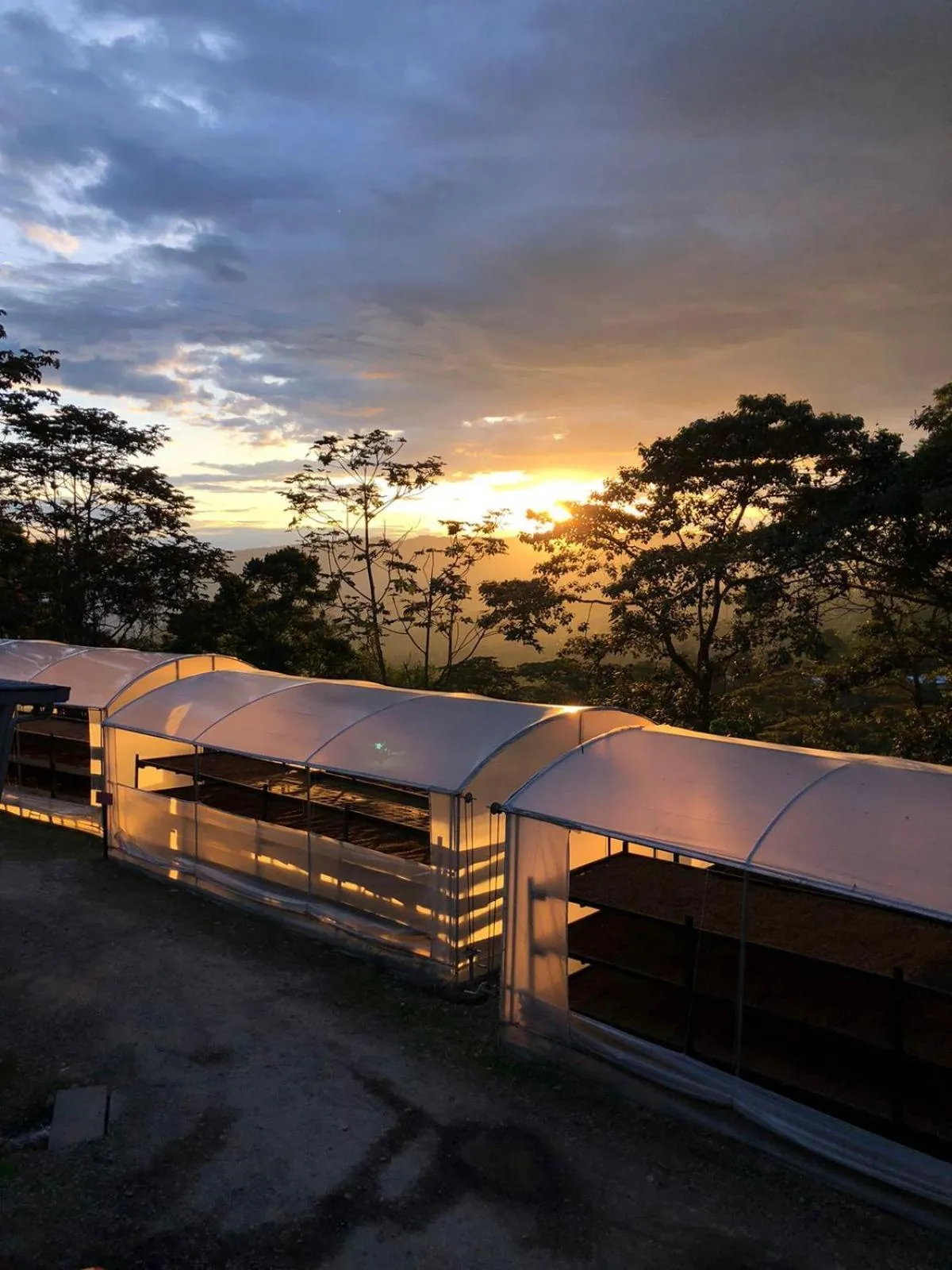 Sunset in Hotel La Palma y El Tucán - Café y Naturaleza