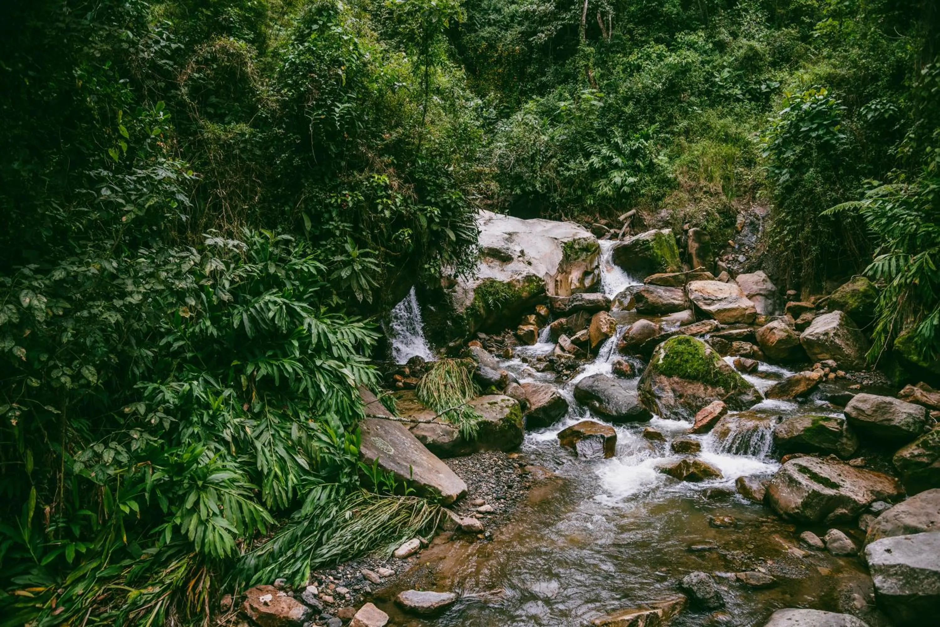 Off site in Hotel La Palma y El Tucán - Café y Naturaleza