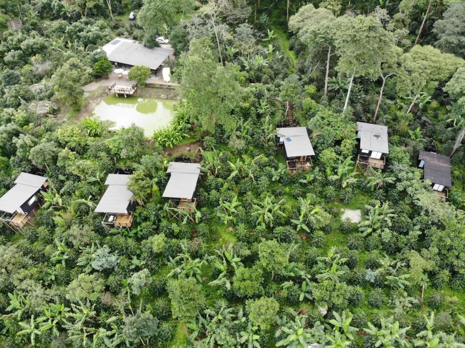 Property building in Hotel La Palma y El Tucán - Café y Naturaleza