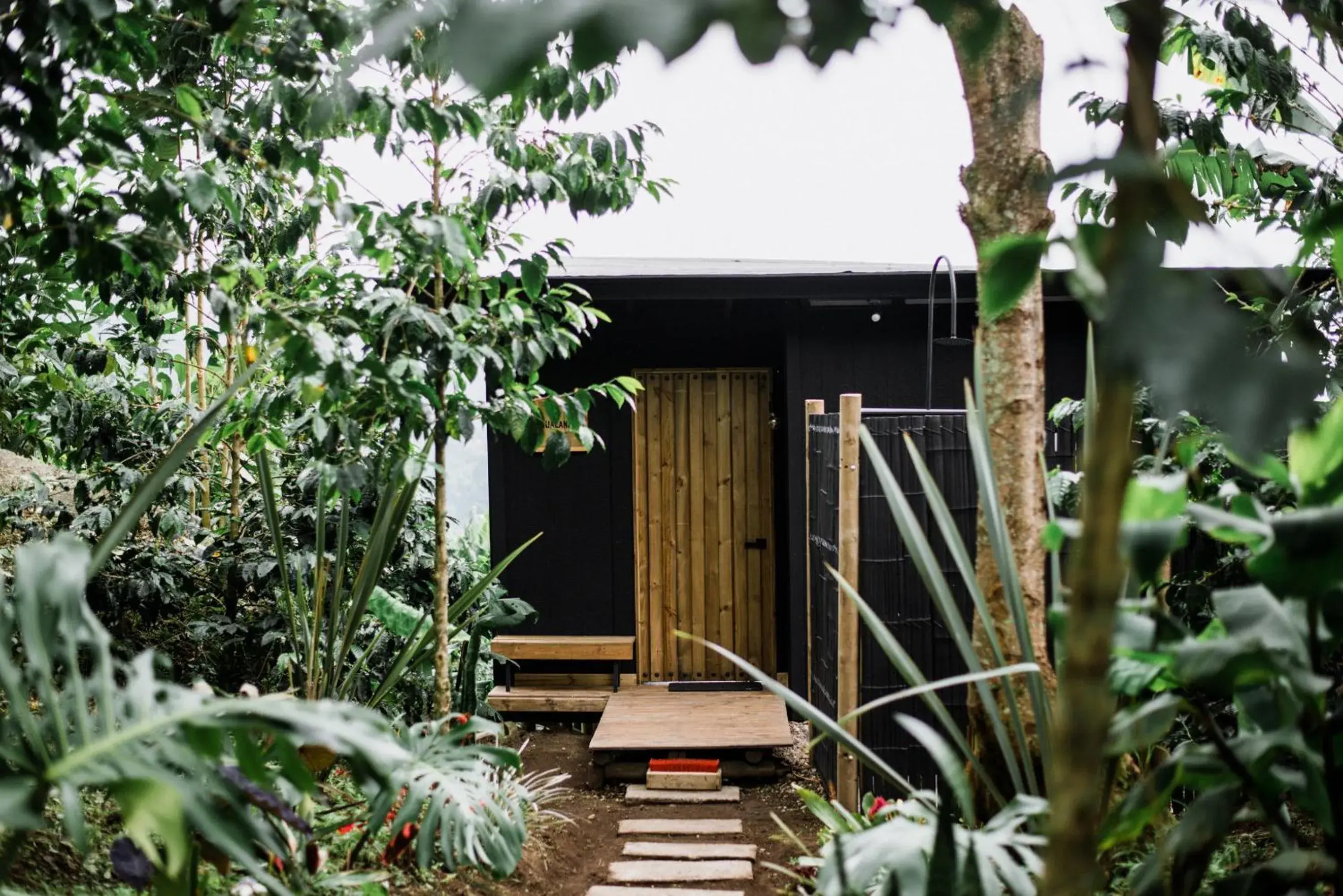Facade/entrance in Hotel La Palma y El Tucán - Café y Naturaleza Facade/entrance in Hotel La Palma y El Tucán - Café y Naturaleza
