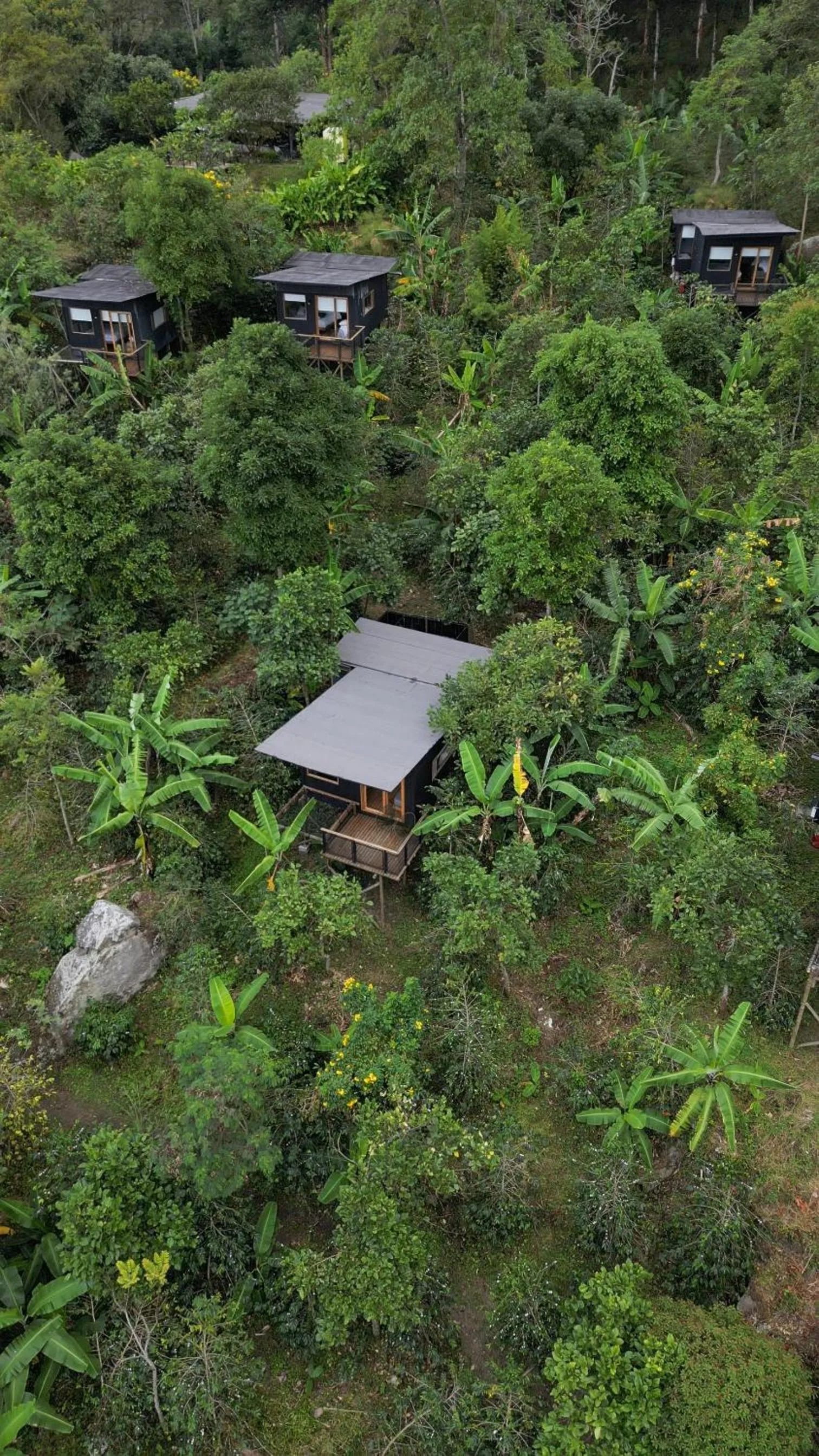 Bird's eye view in Hotel La Palma y El Tucán - Café y Naturaleza