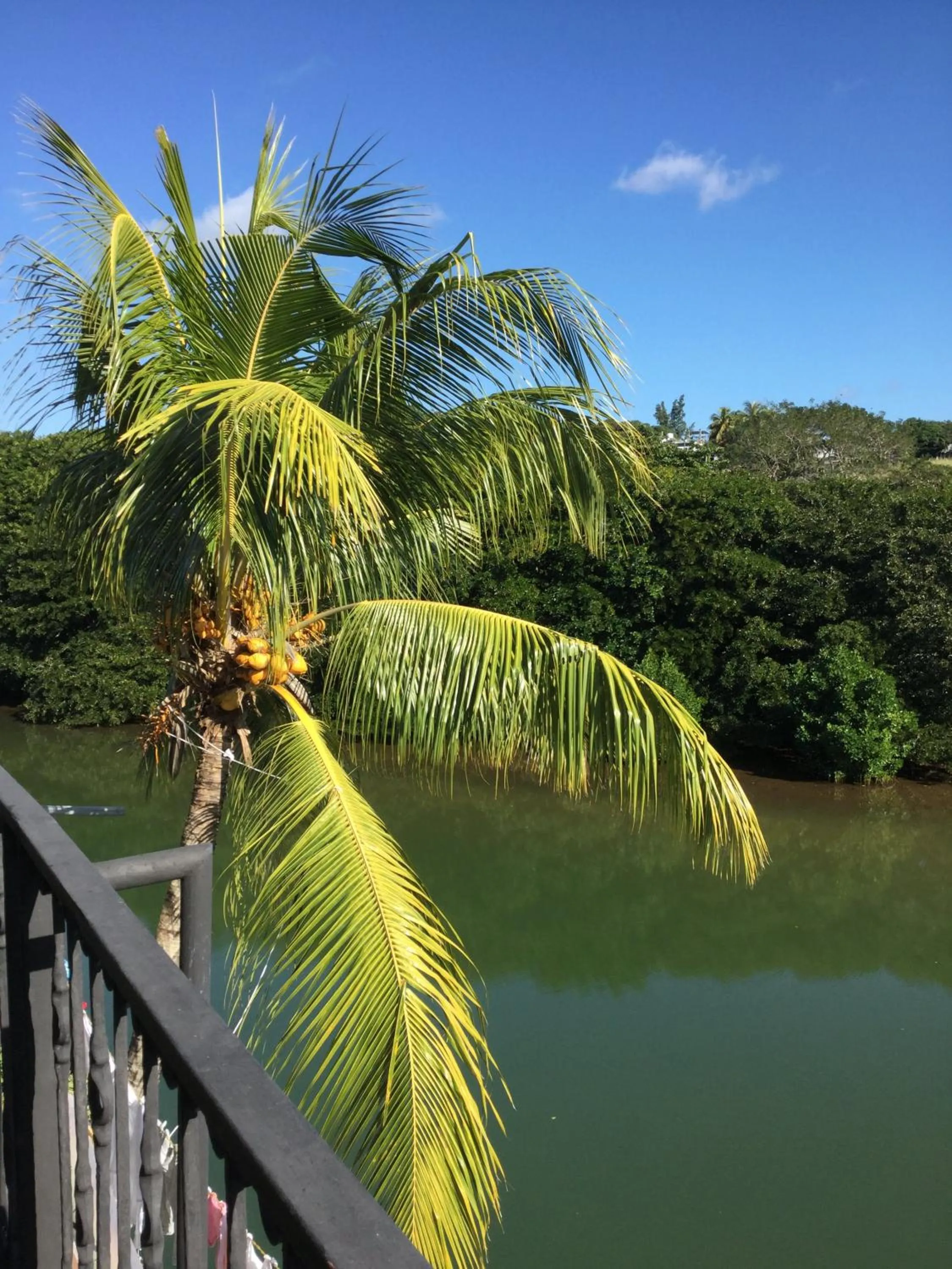 Le Bamboo Guesthouse