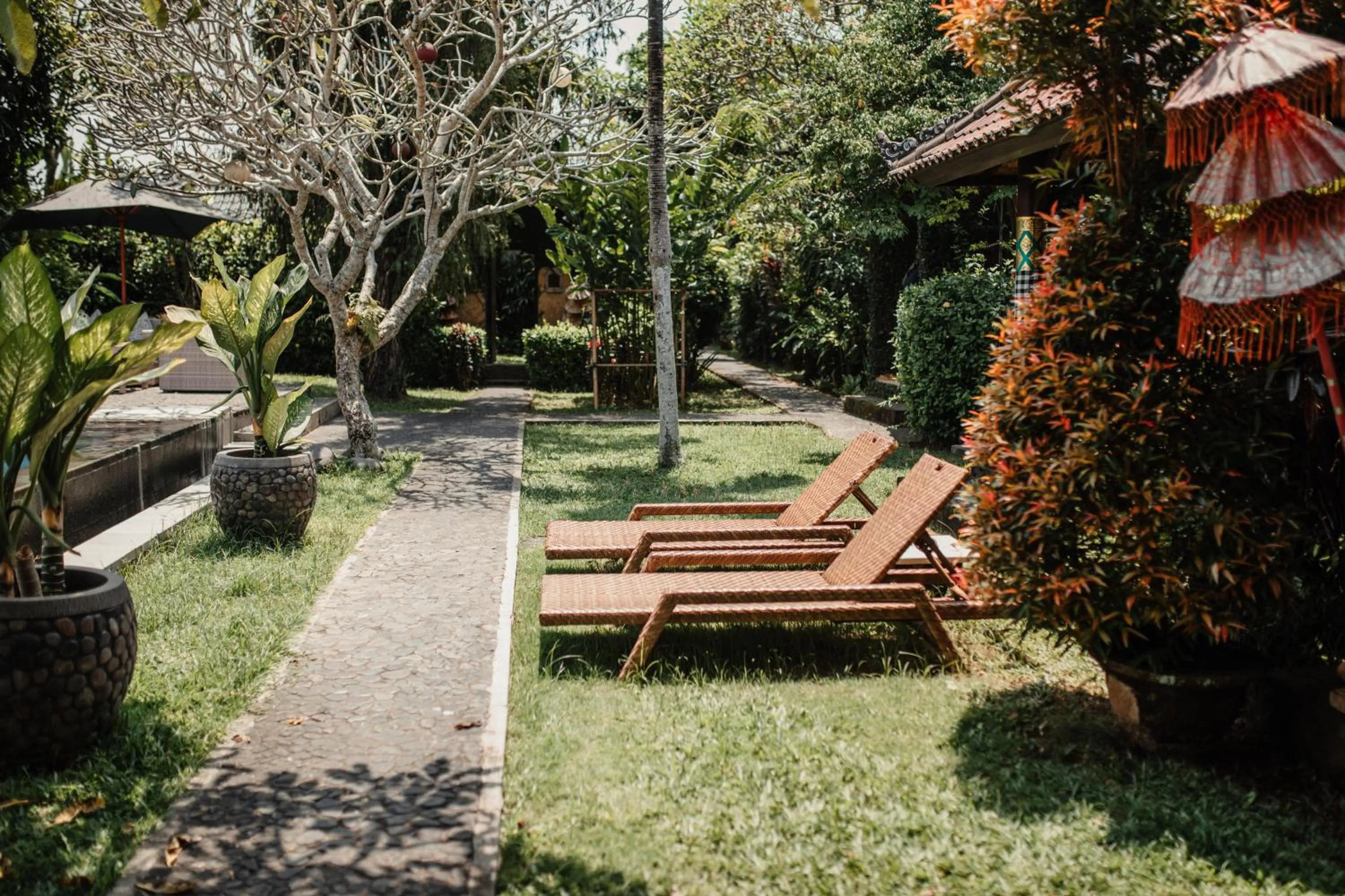 sunbed in Mandala Desa