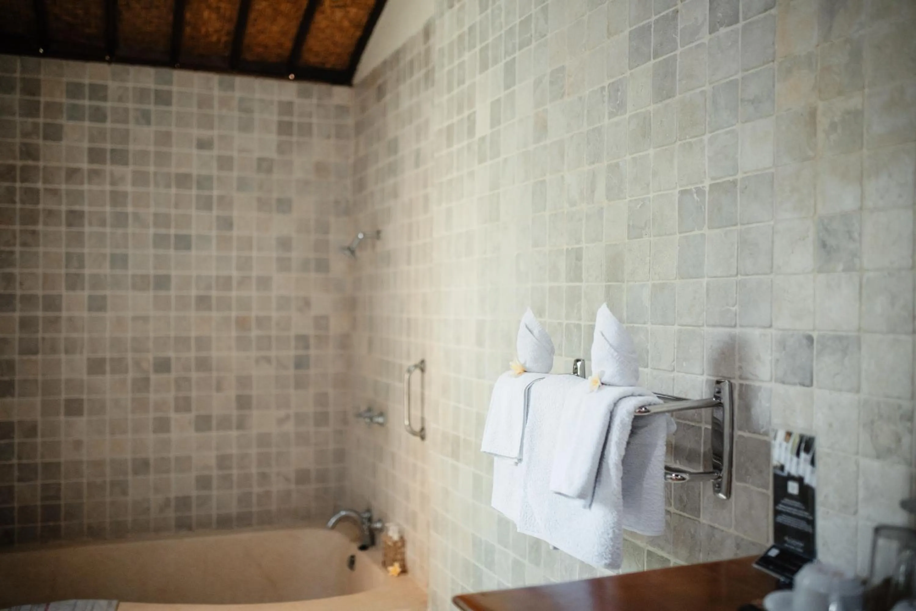 Shower in Mandala Desa