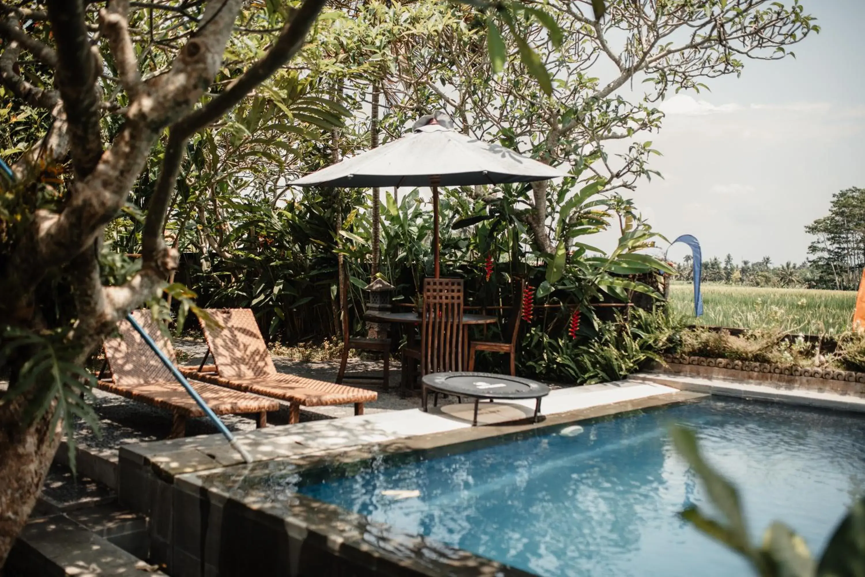 Swimming pool in Mandala Desa Swimming pool in Mandala Desa