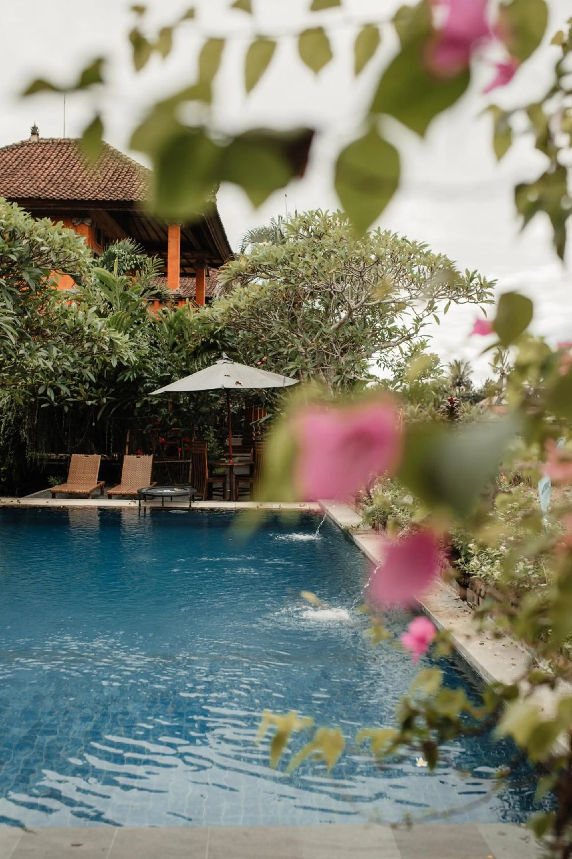 Garden in Mandala Desa