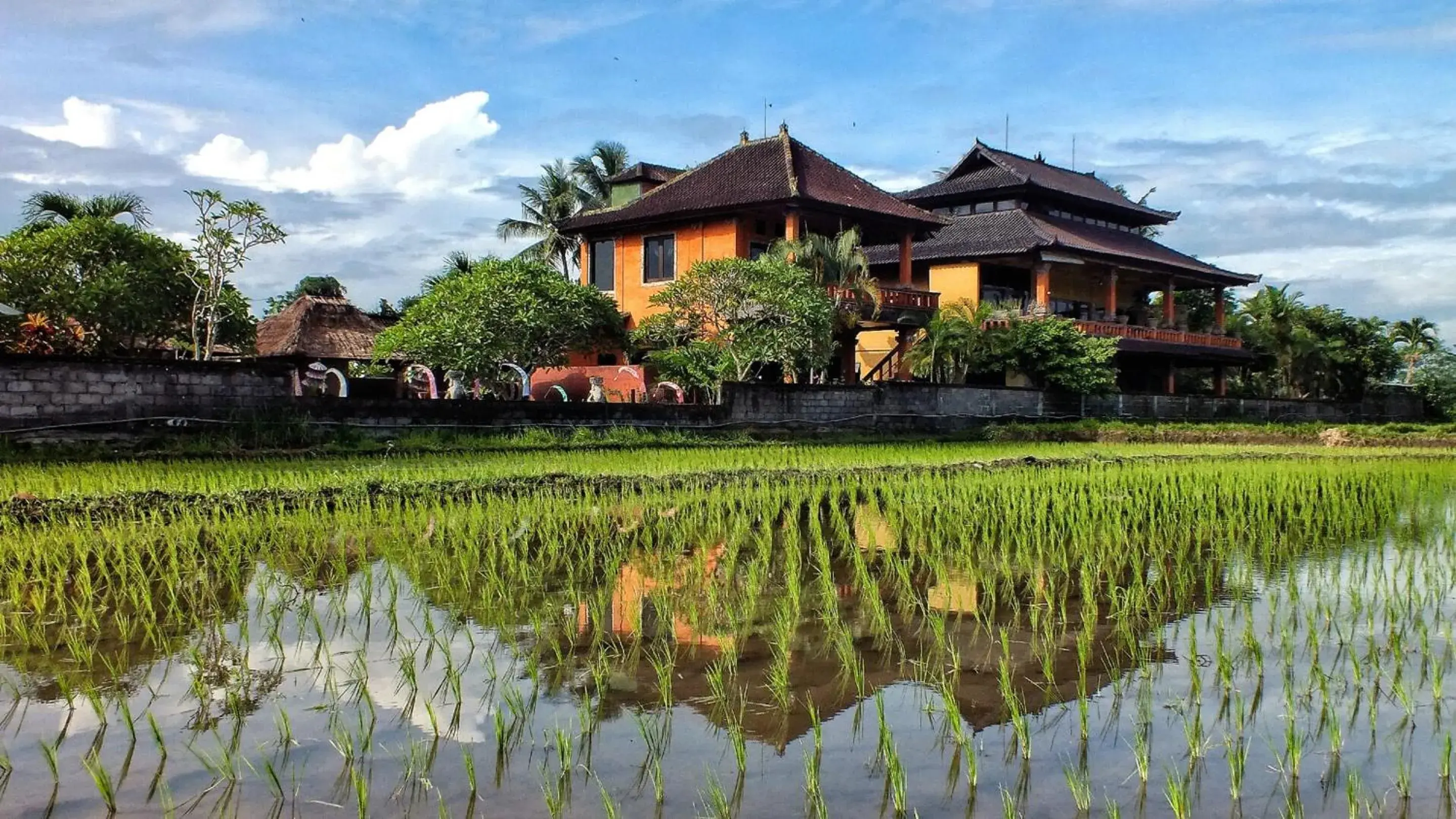 Property building in Mandala Desa Property building in Mandala Desa