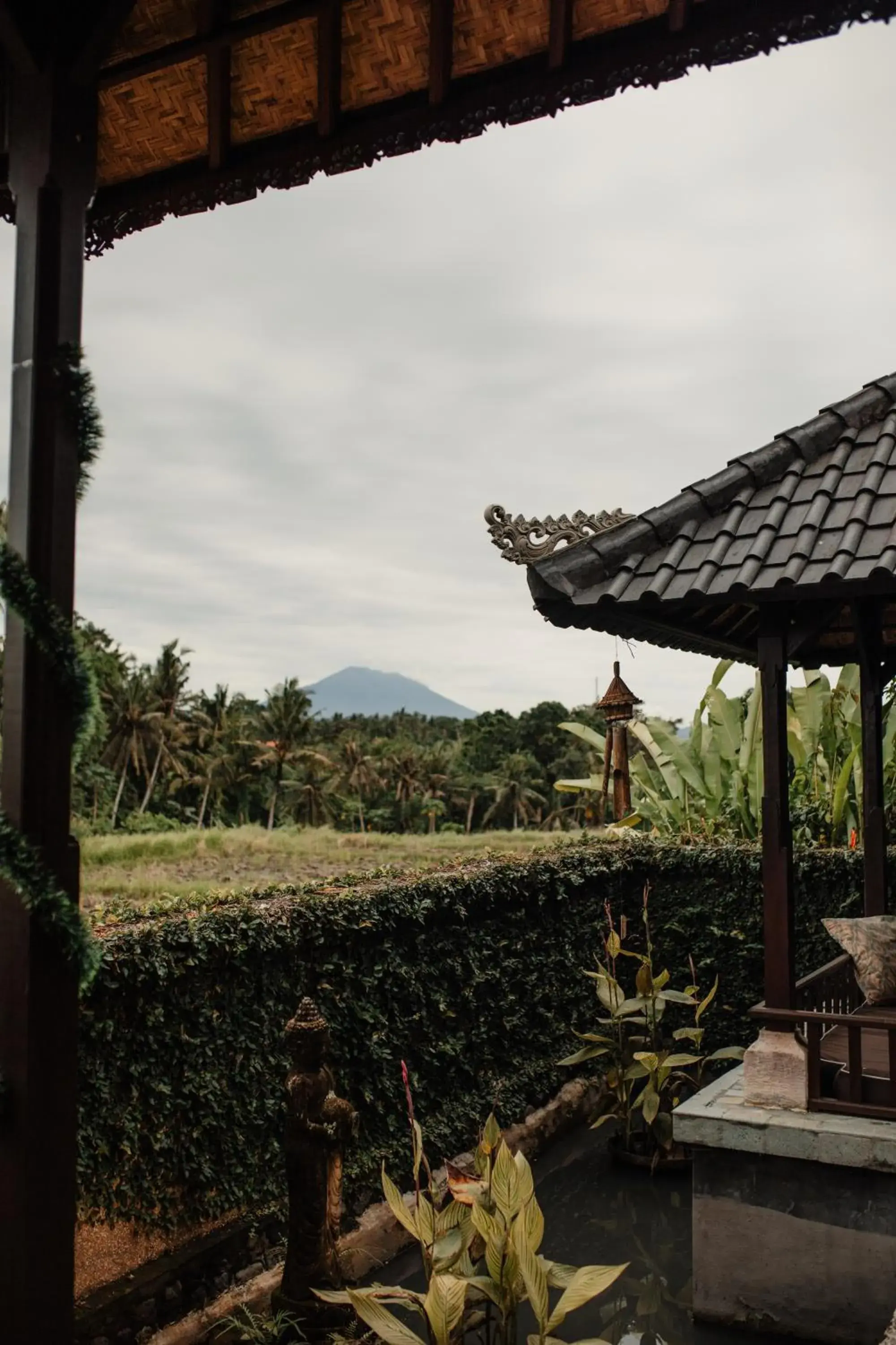 View (from property/room) in Mandala Desa View (from property/room) in Mandala Desa