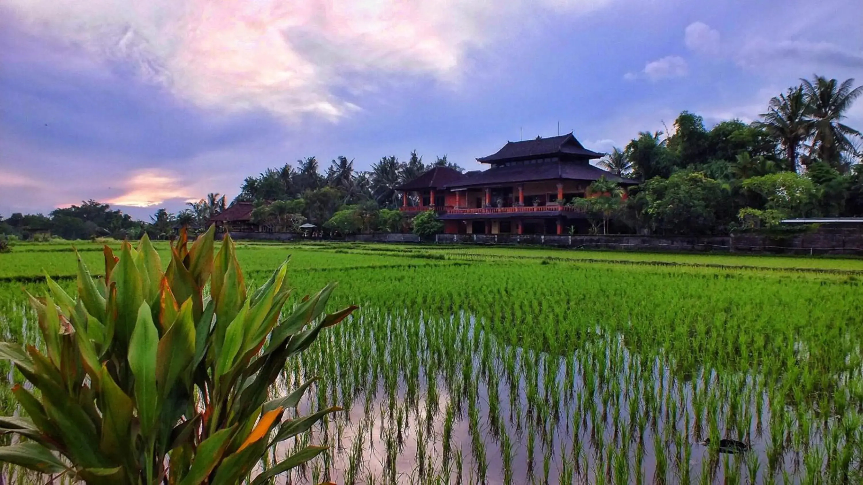 Facade/entrance in Mandala Desa Facade/entrance in Mandala Desa