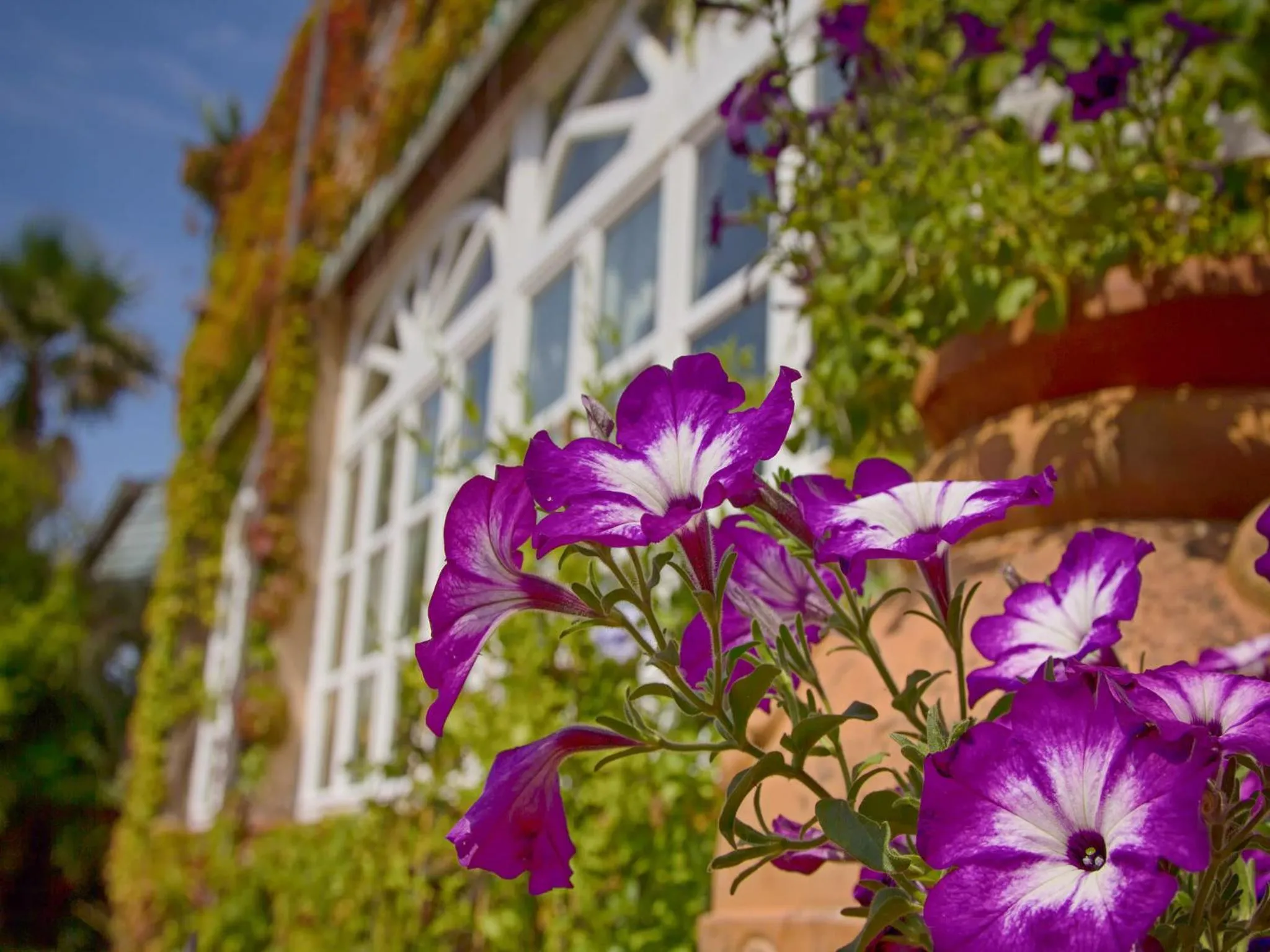 Decorative detail in Hotel Villa Maremonti